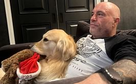 Joe Rogan discusses pitfalls of "bad" relationships: "You're literally robbing your life"