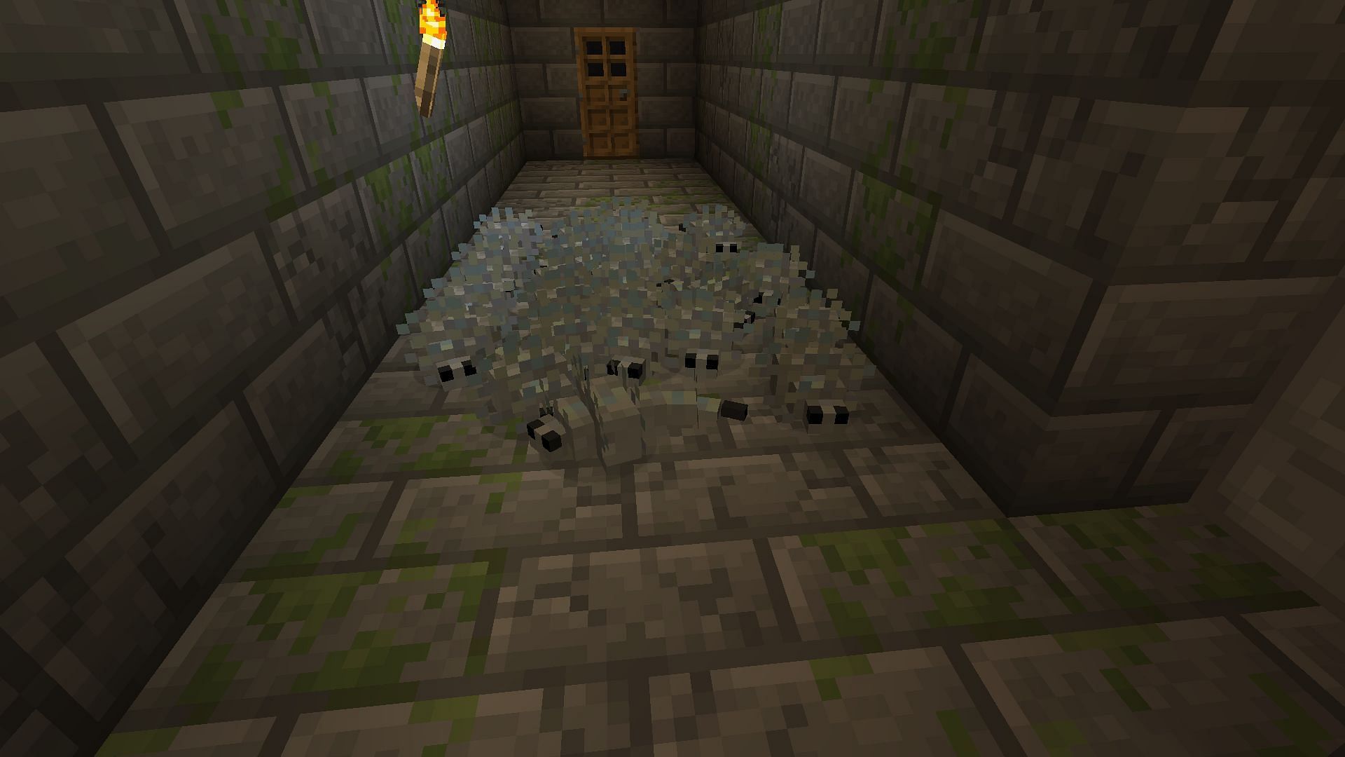 Minecraft player shares simple trick to farm XP using new infested potions