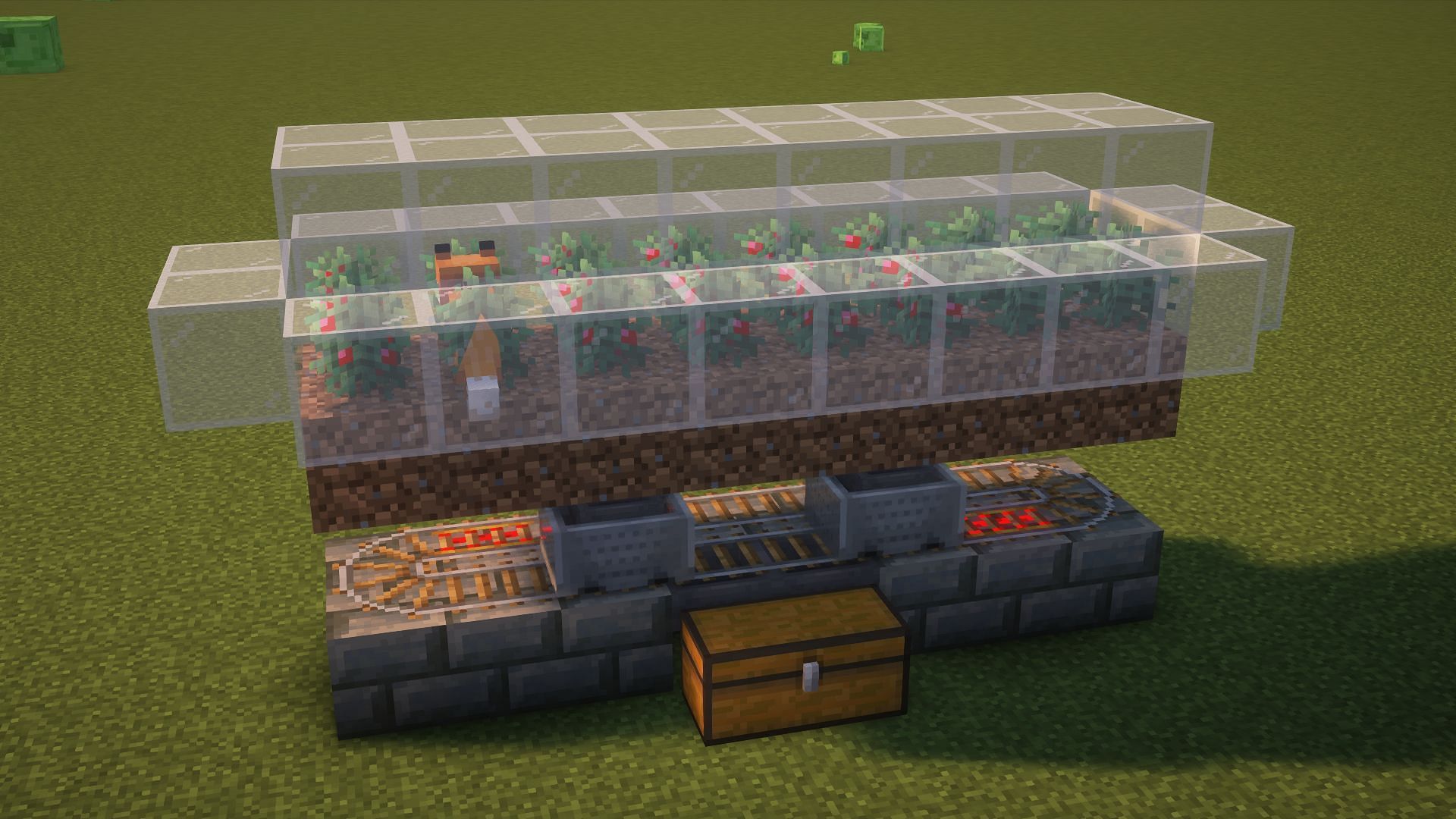 A fully constructed Minecraft sweet berry farm (Image via Mojang)