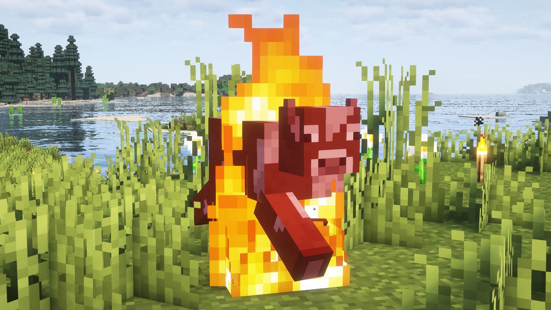 A cow set on fire with a flint and steel (Image via Mojang)