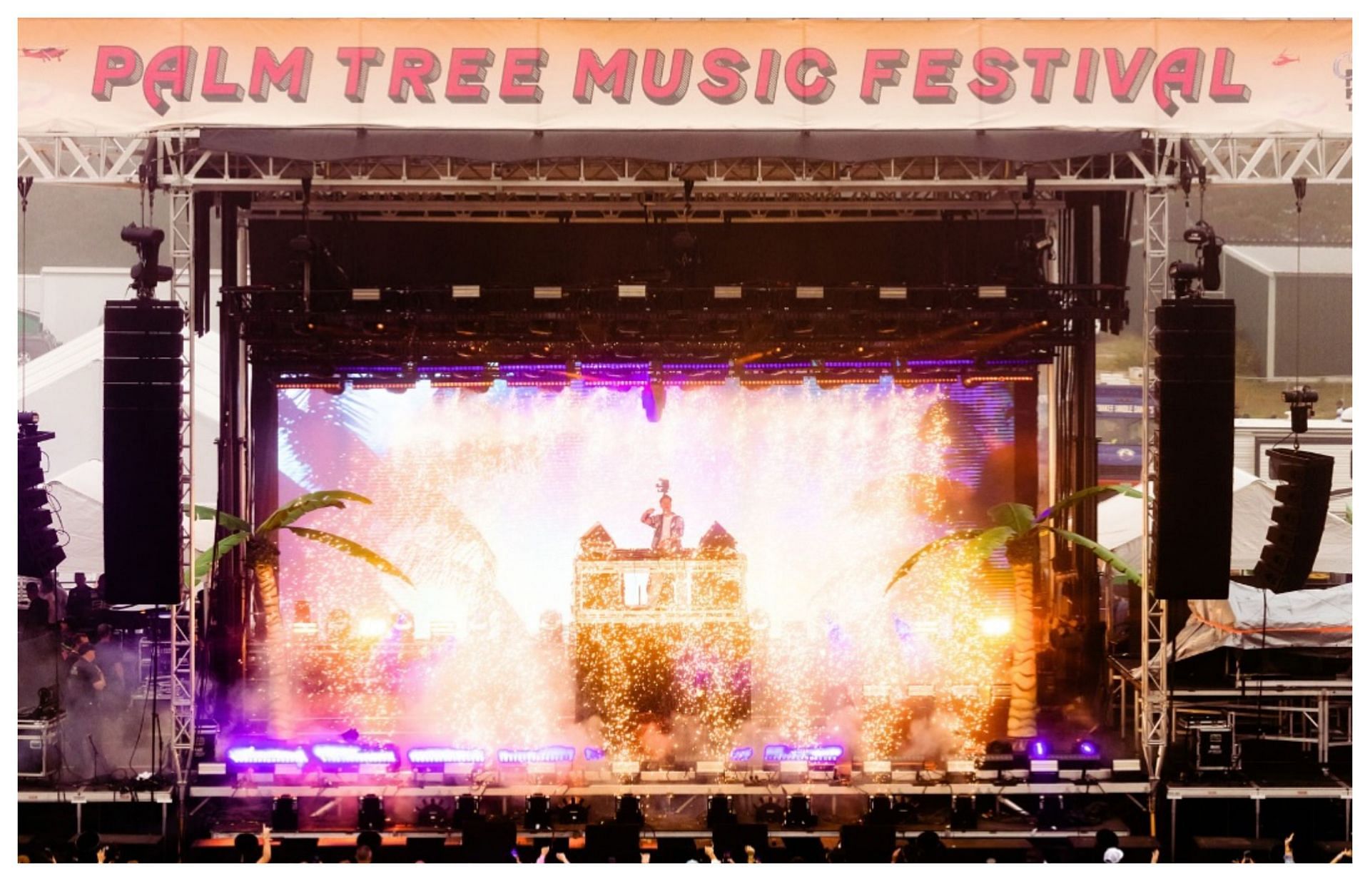  Palm Tree Music Festival 2024