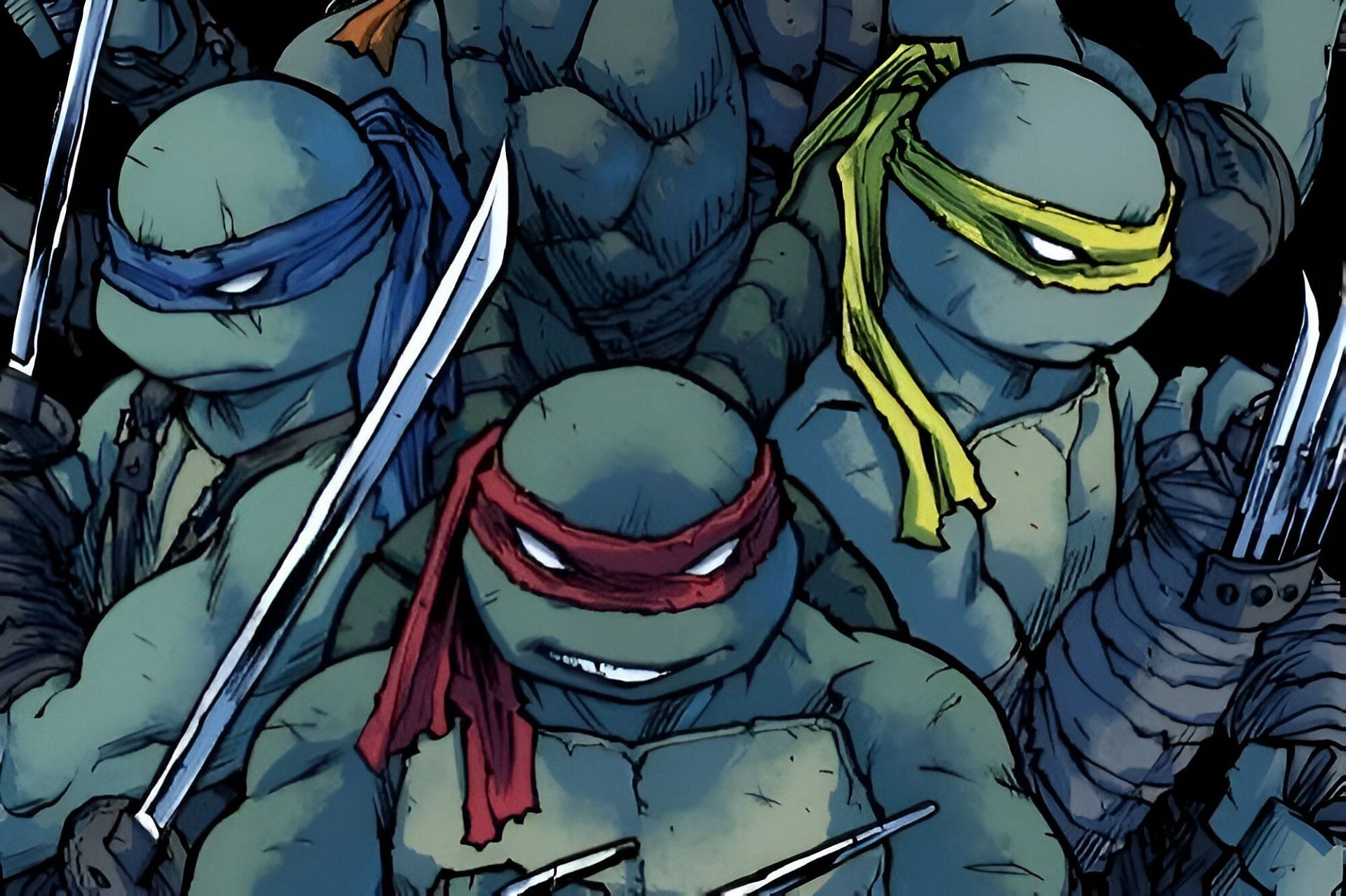 Teenage Mutant Ninja Turtles (Image via IDW Publishing)