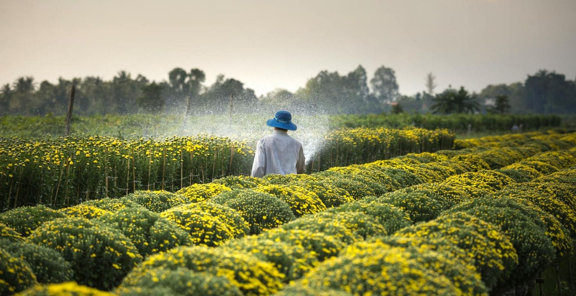 Strychnine is used in agriculture (Image via Pexels/Quang Nguyen Vinh)