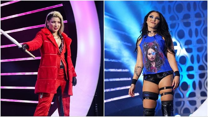 Hikaru Shida sends a message to Skye Blue after AEW abruptly stopped match due to injury