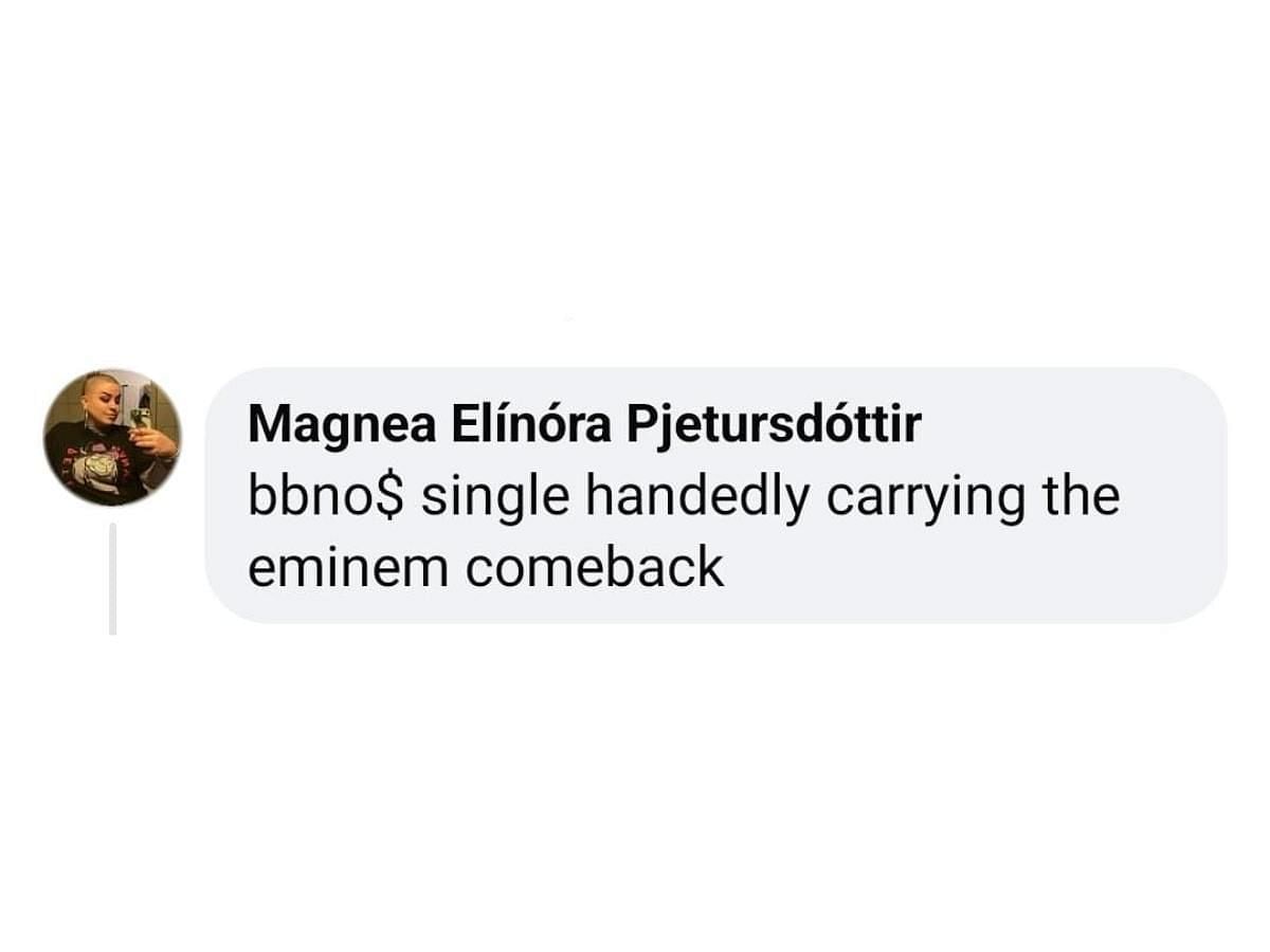 Fan reaction to Eminem responding to baby no money (Image via Facebook/ @bbno$)