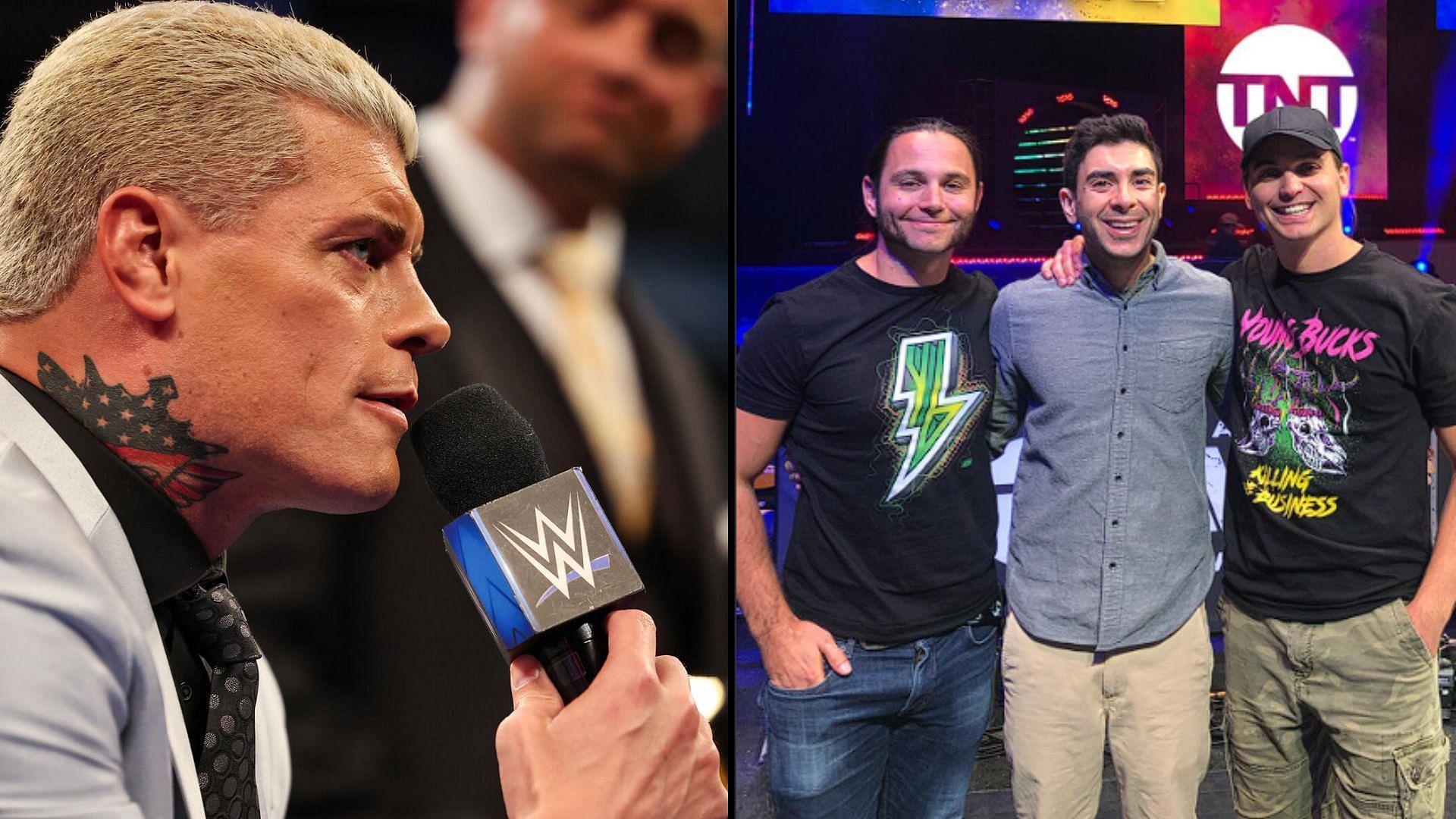 Cody Rhodes and The Elite were all Executive Vice Presidents of AEW [Photos courtesy of WWE