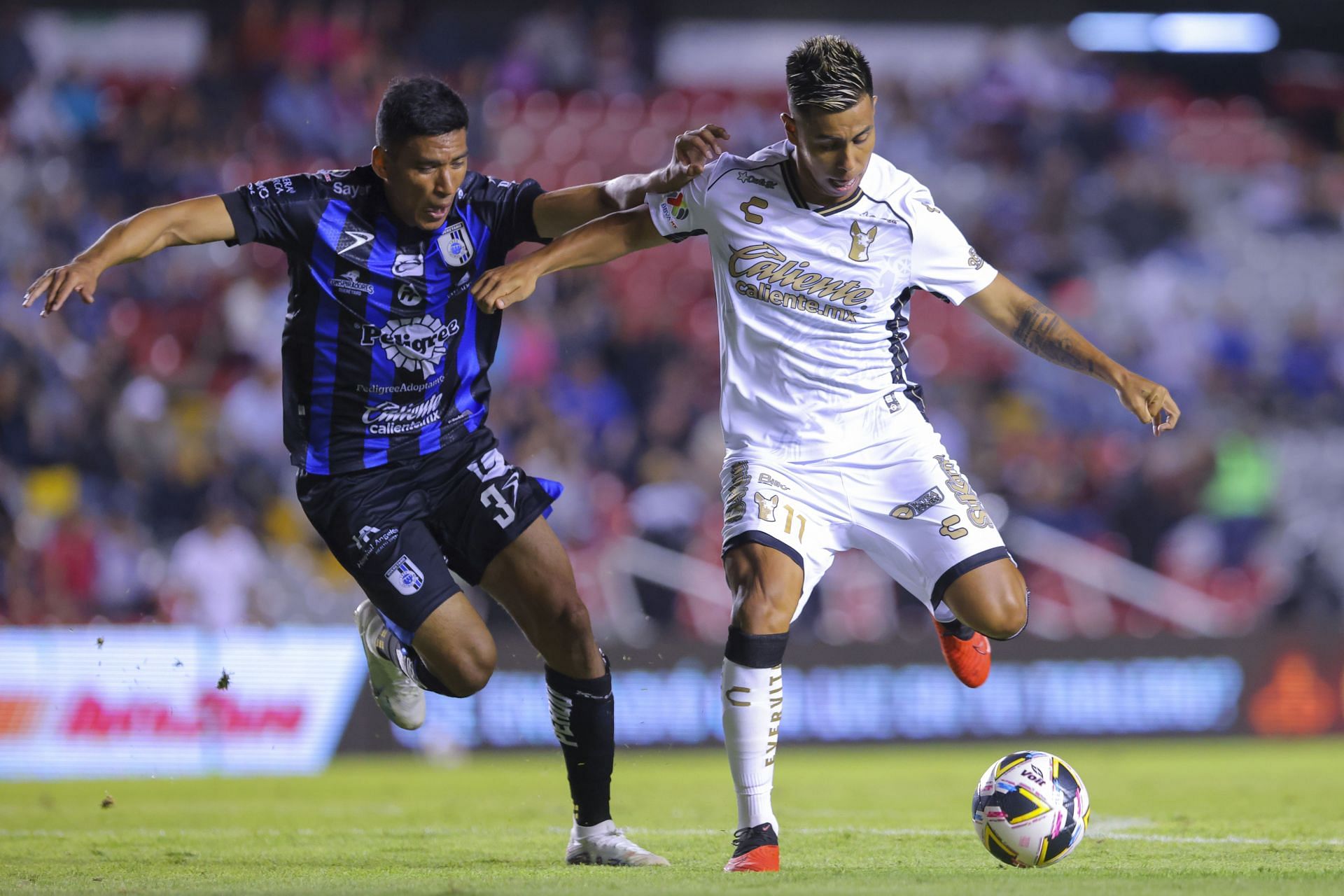 Queretaro v Tijuana - Torneo Apertura 2024 Liga MX