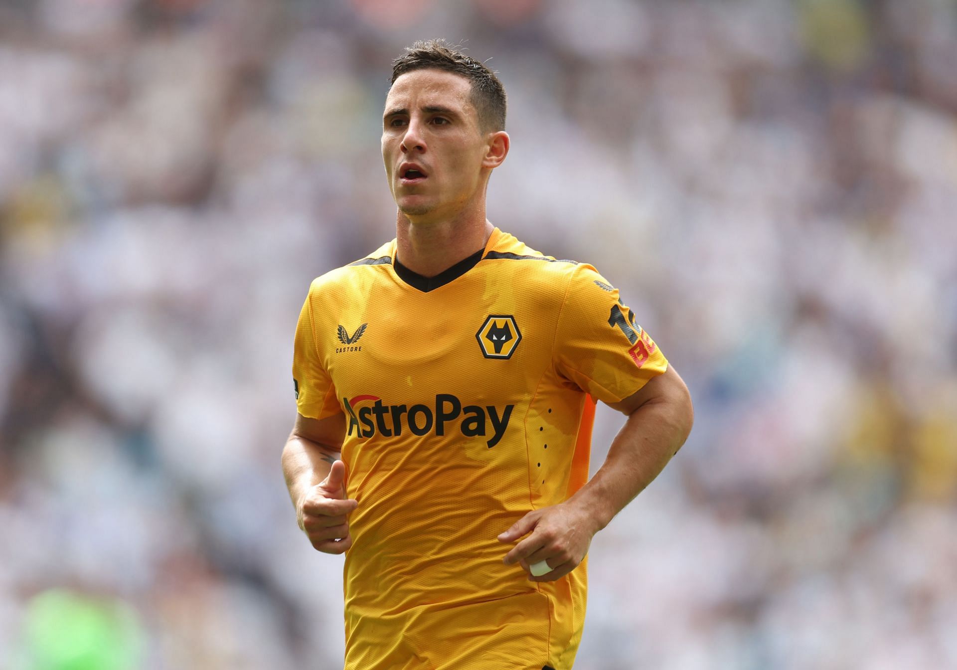 Tottenham Hotspur v Wolverhampton Wanderers - Premier League