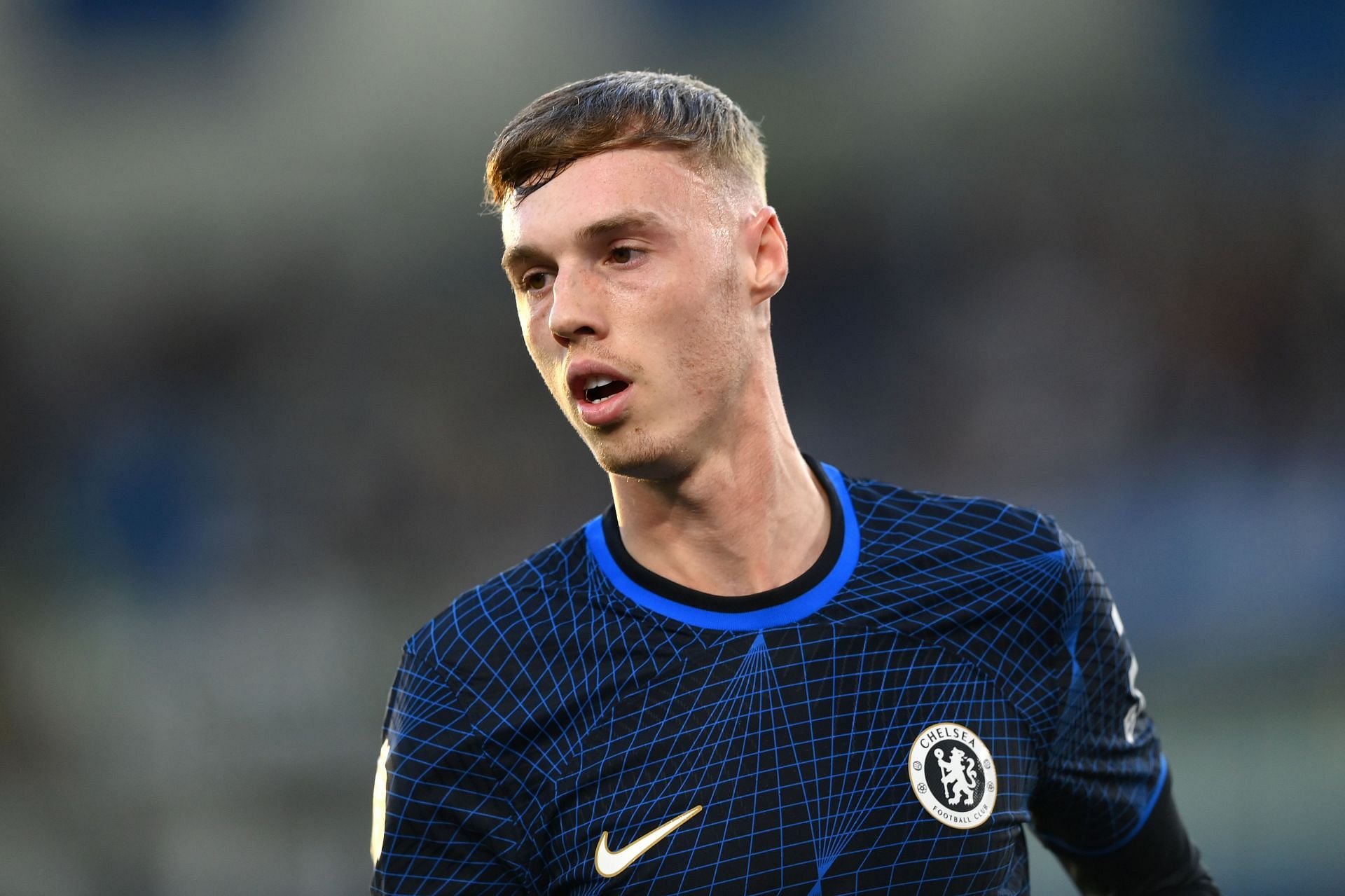 Brighton &amp; Hove Albion v Chelsea FC - Premier League