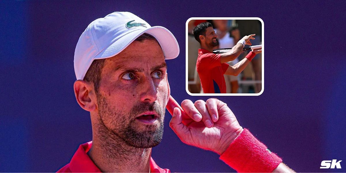 Novak Djokovic fans slammed a journalist who was critical of the Serb