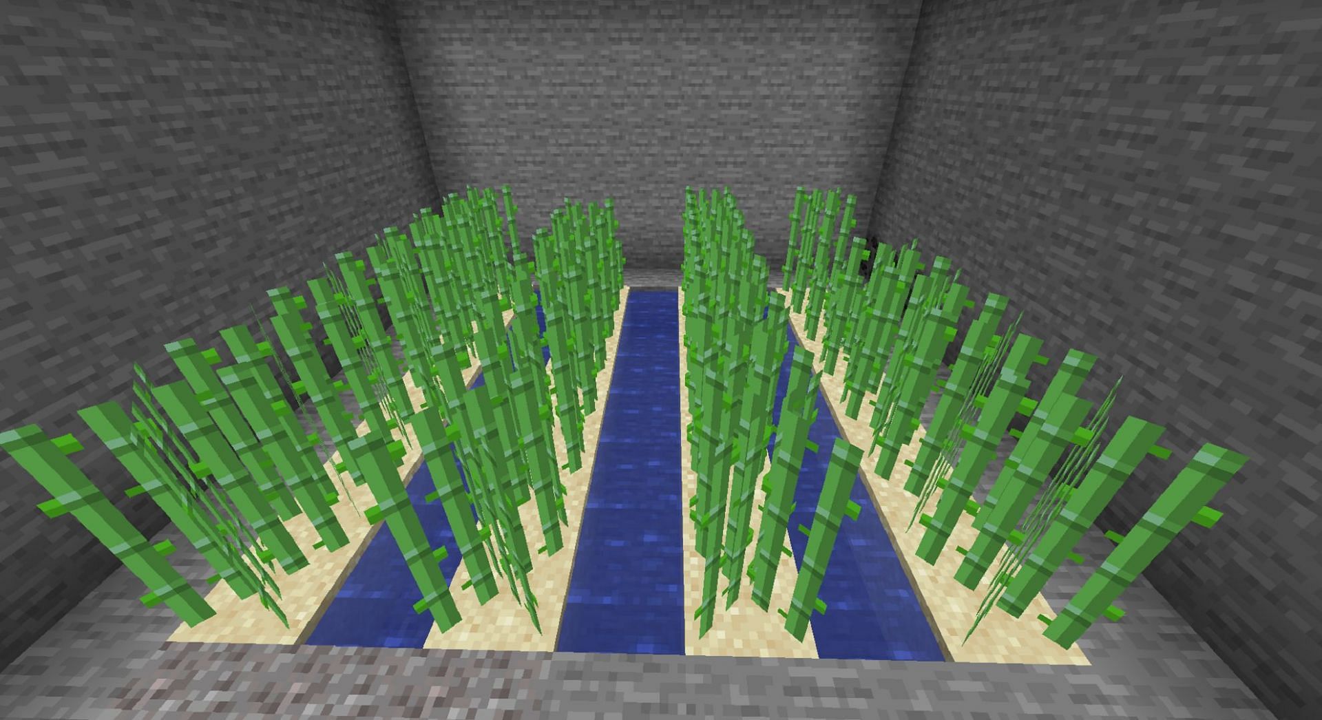 Sugar cane is easy to produce and can be made into easily tradeable paper in Minecraft (Image via Mojang)