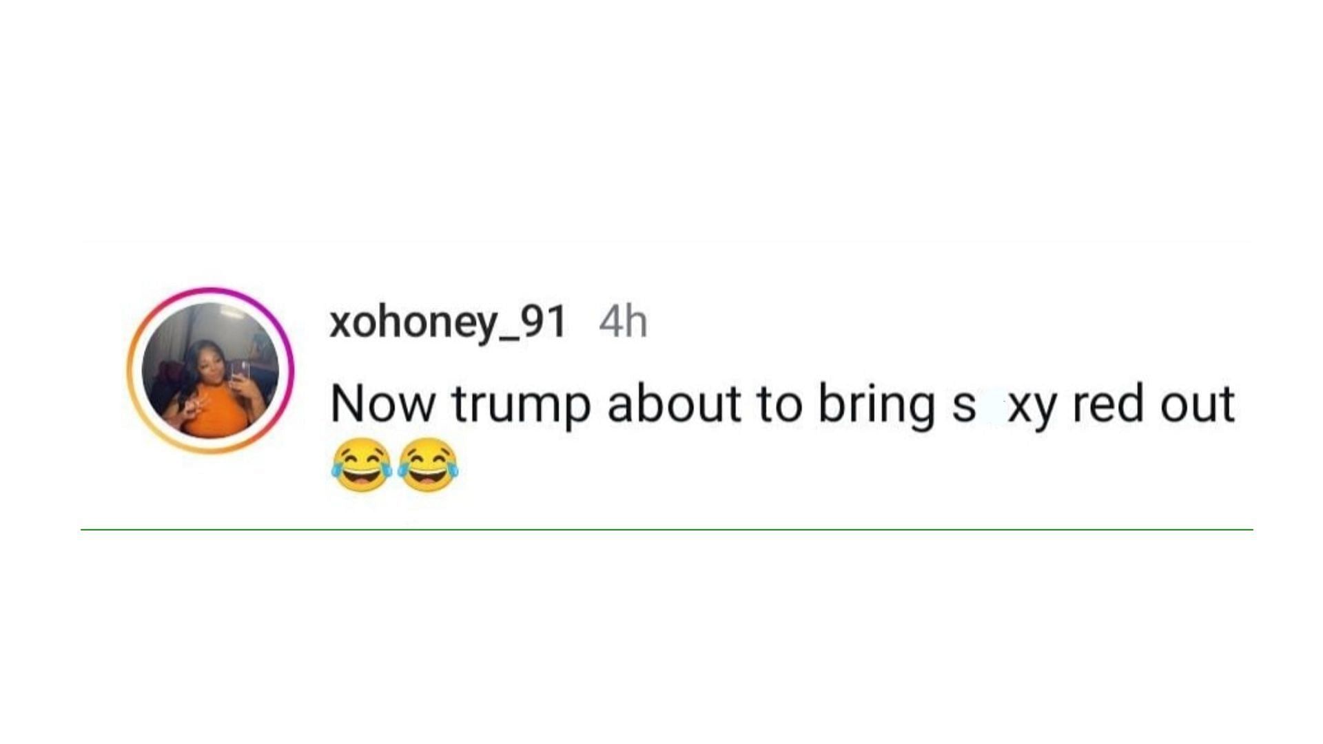 A netizen mocks Kamala Harris for inviting Thee Stallion at her campaign rally. (Image via Instagram/ xohoney_91)