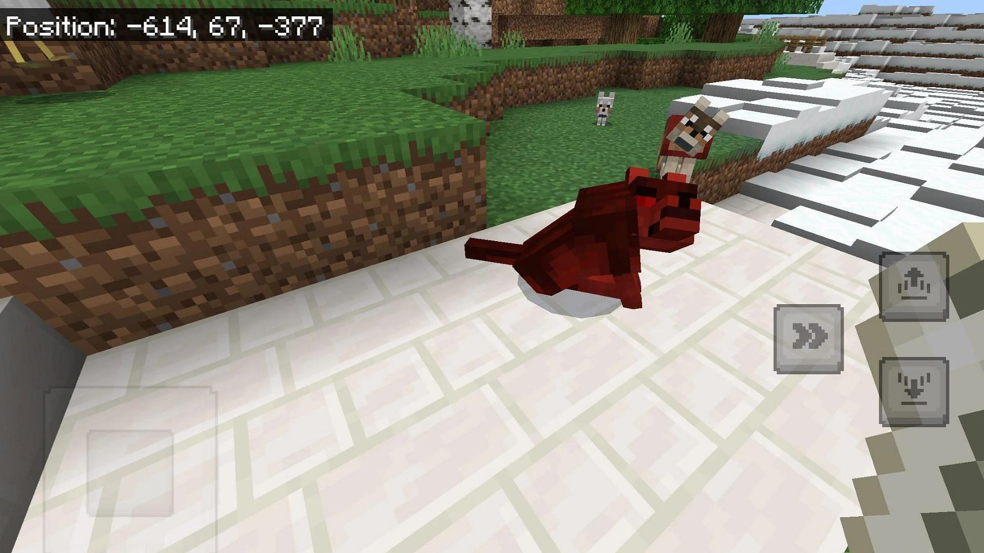 The bug changes the texture of the wolf to its collar color (Image via Reddit/Jackack7/Mojang Studios)