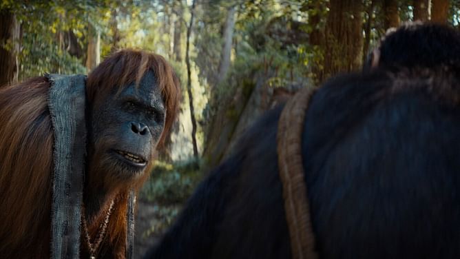 When will Kingdom of the Planet of the Apes be available to stream online? All streaming options explored