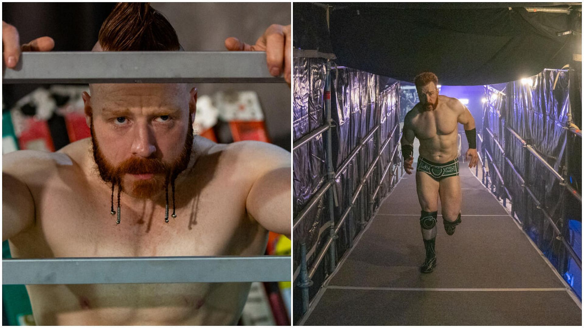 Sheamus is a former WWE Champion. (Image via WWE.com)