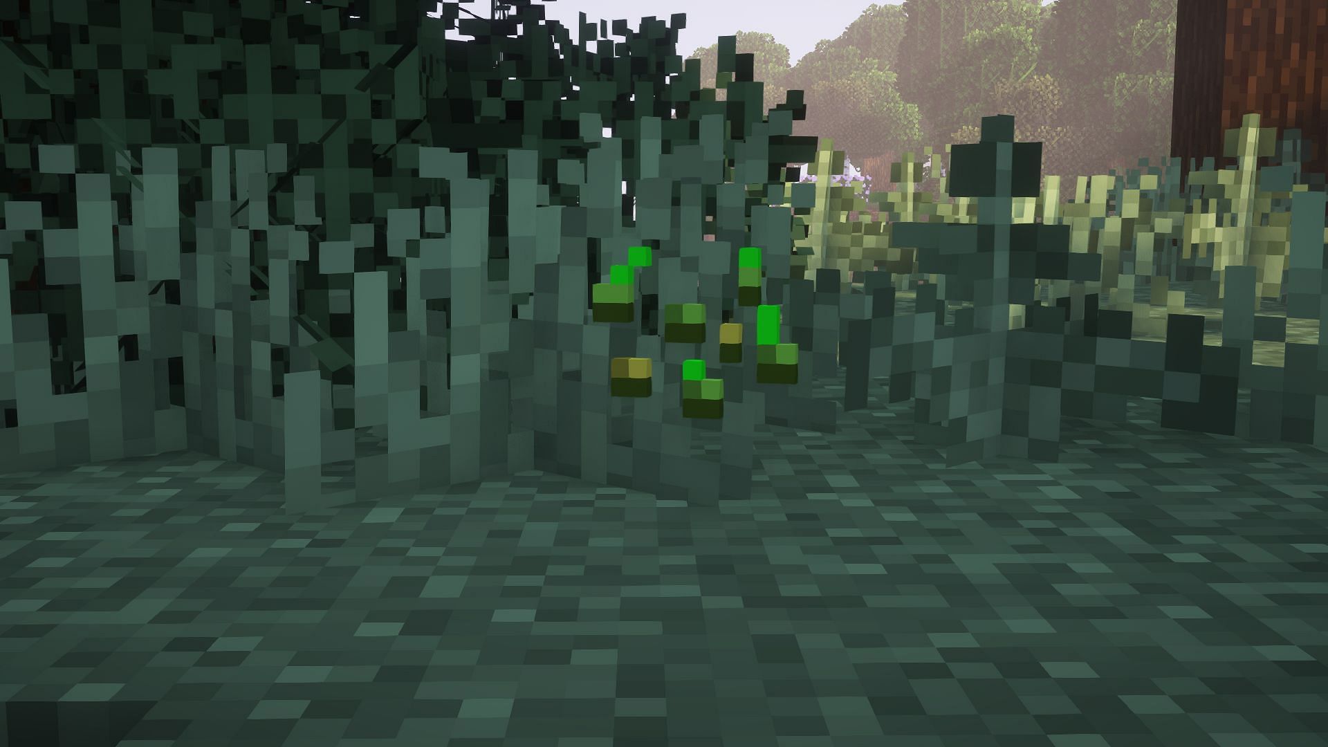 Seeds floating on the ground as an entity (Image via Mojang)