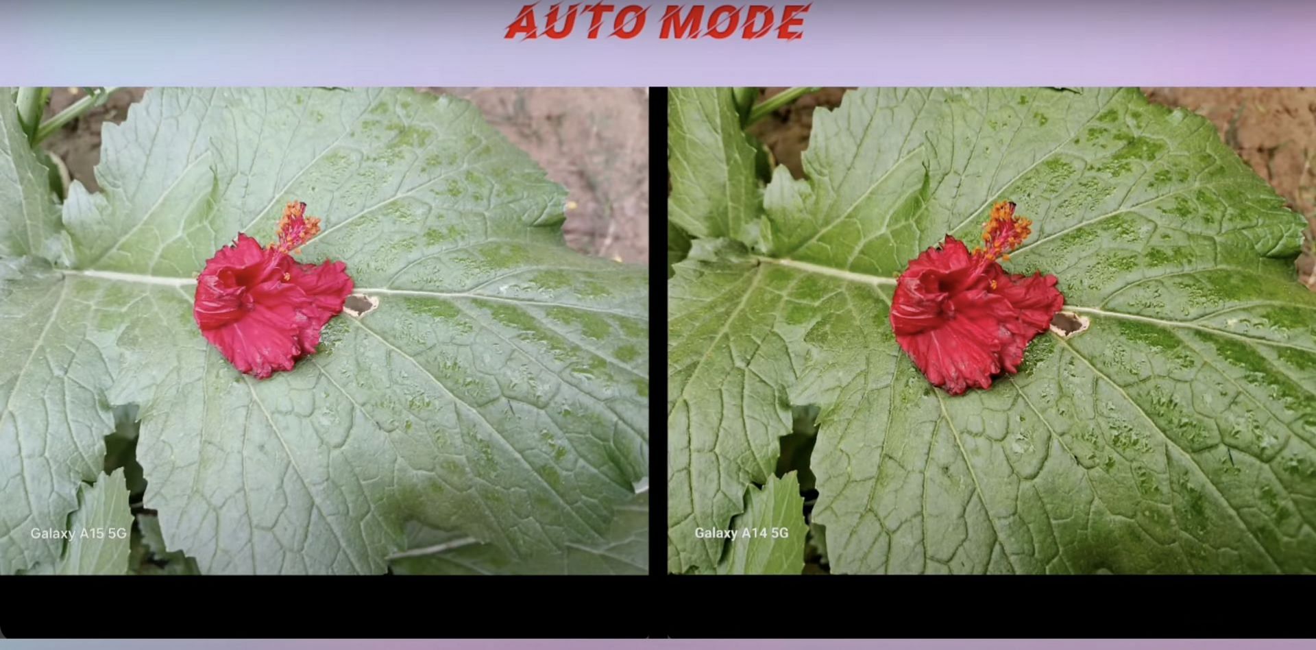 Samsung Galaxy A15 5G vs Samsung Galaxy A14 5G: Both phones come with a 50MP lens (Image via Dharmesh Review/YouTube)