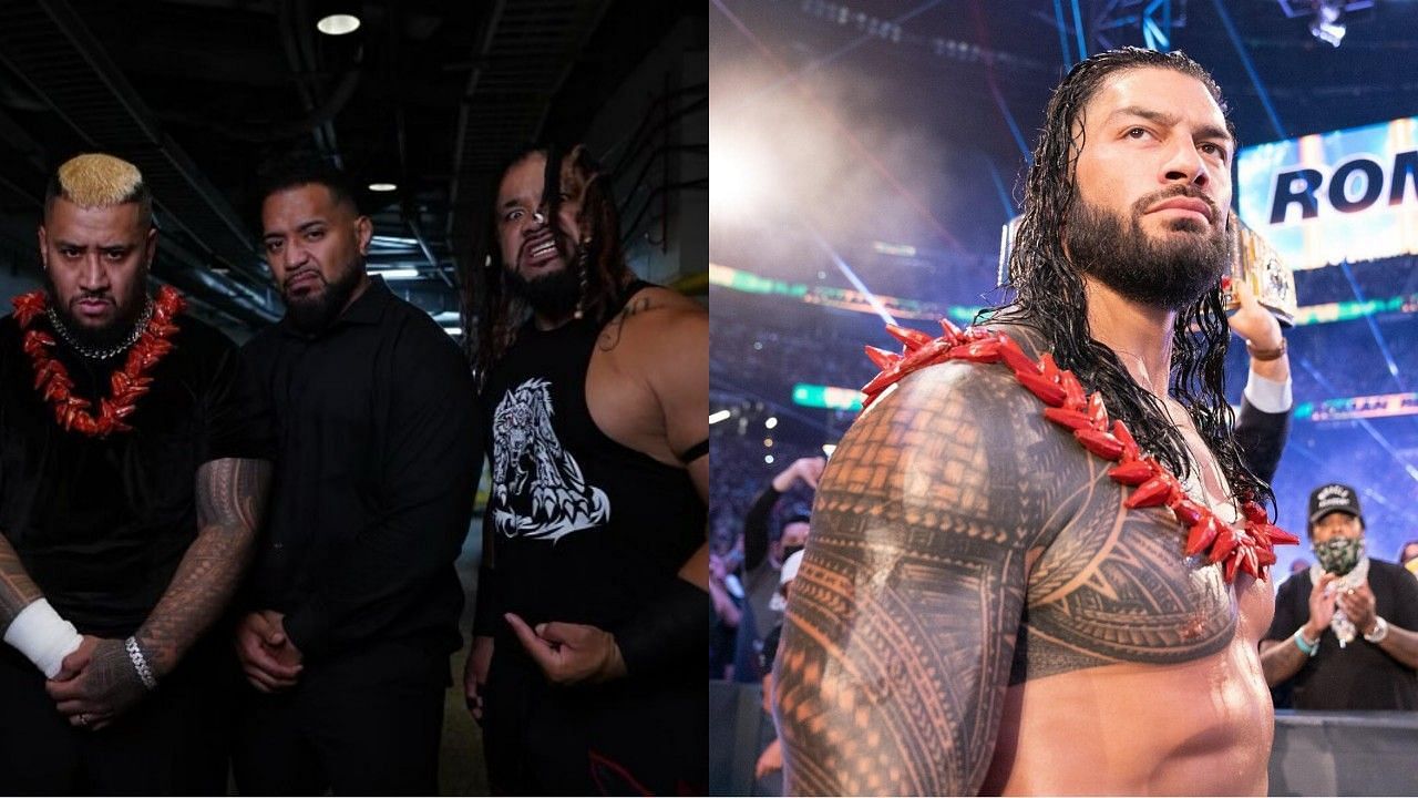 WWE, Roman Reigns, Solo Sikoa, Jacob Fatu, Bloodline, 