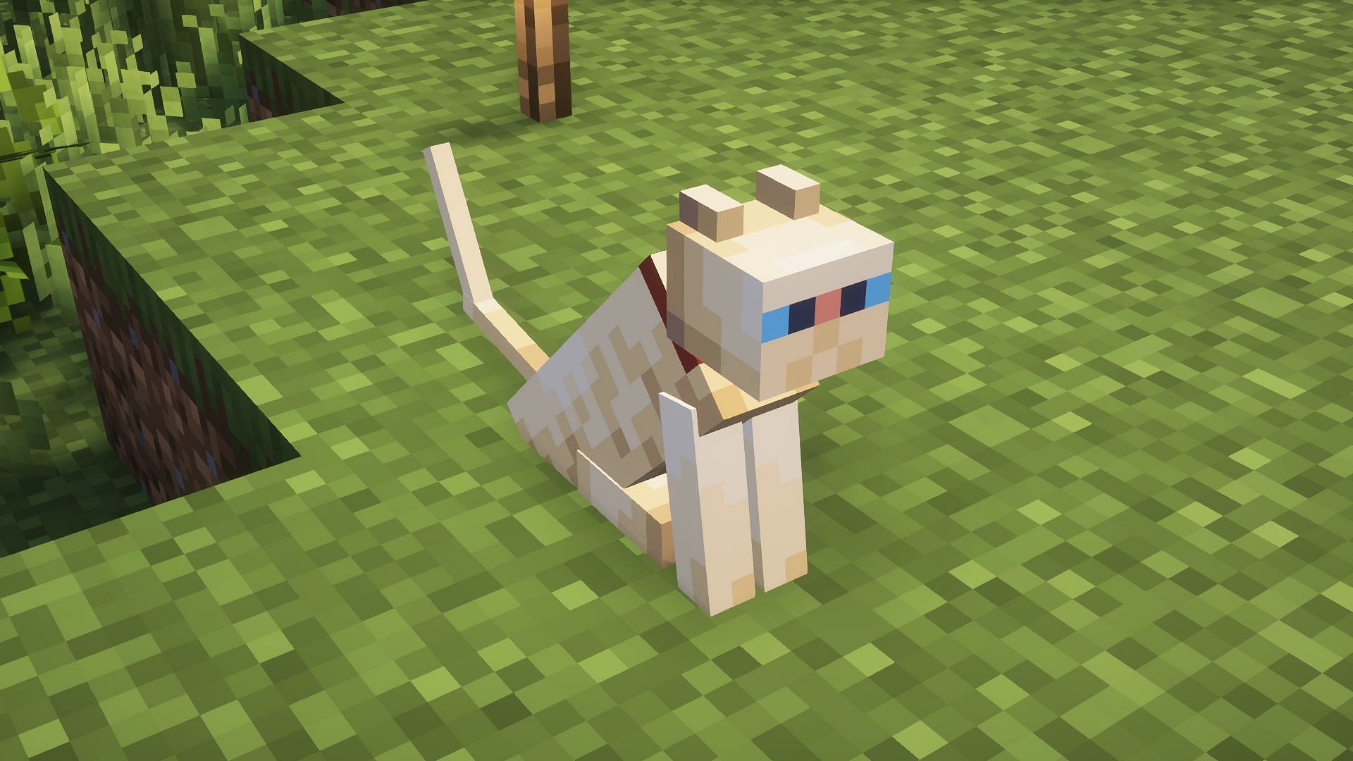 A tamed cat sitting down (Image via Mojang)