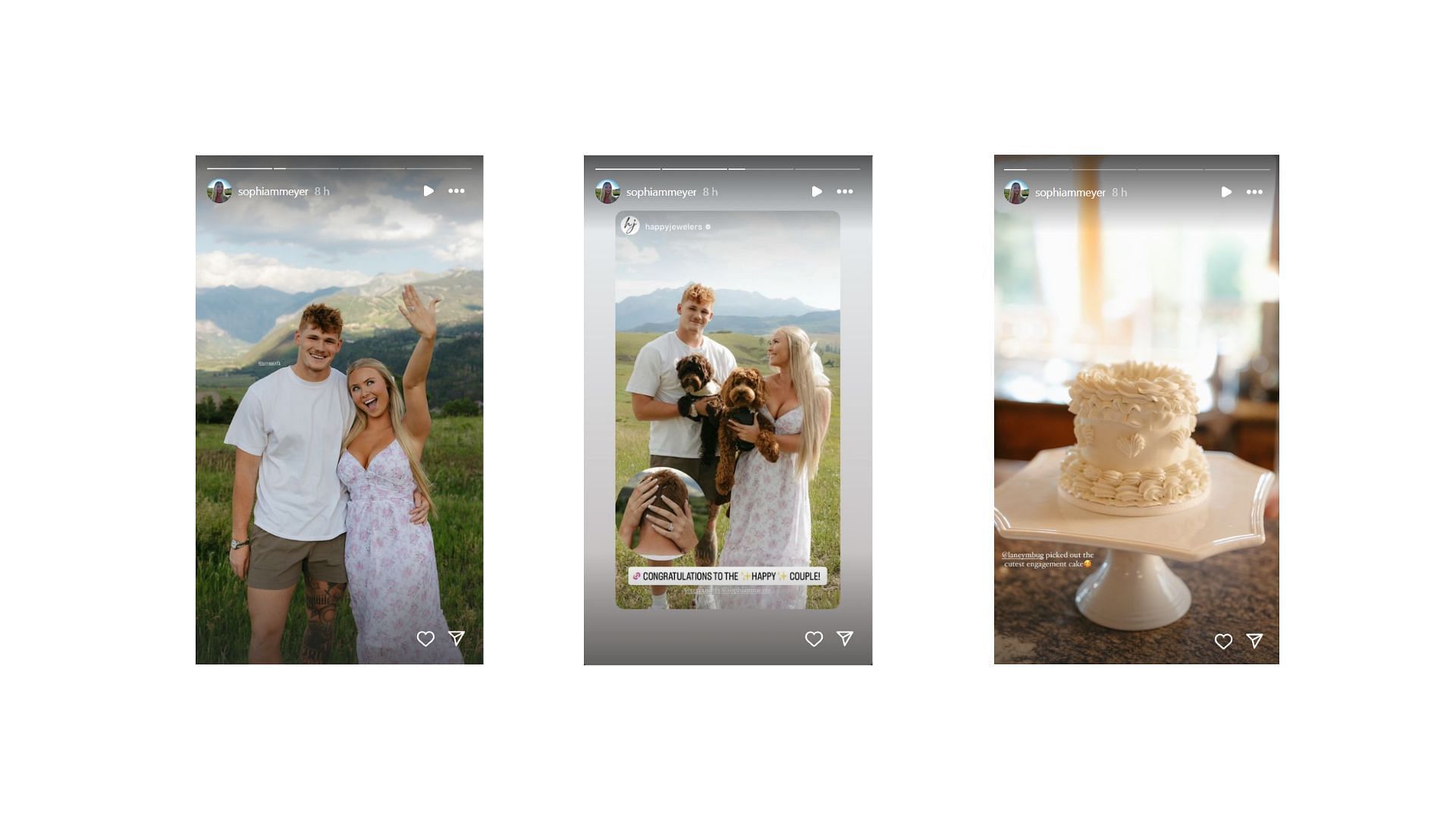 Image Credit: @sophiameyer/Instagram stories