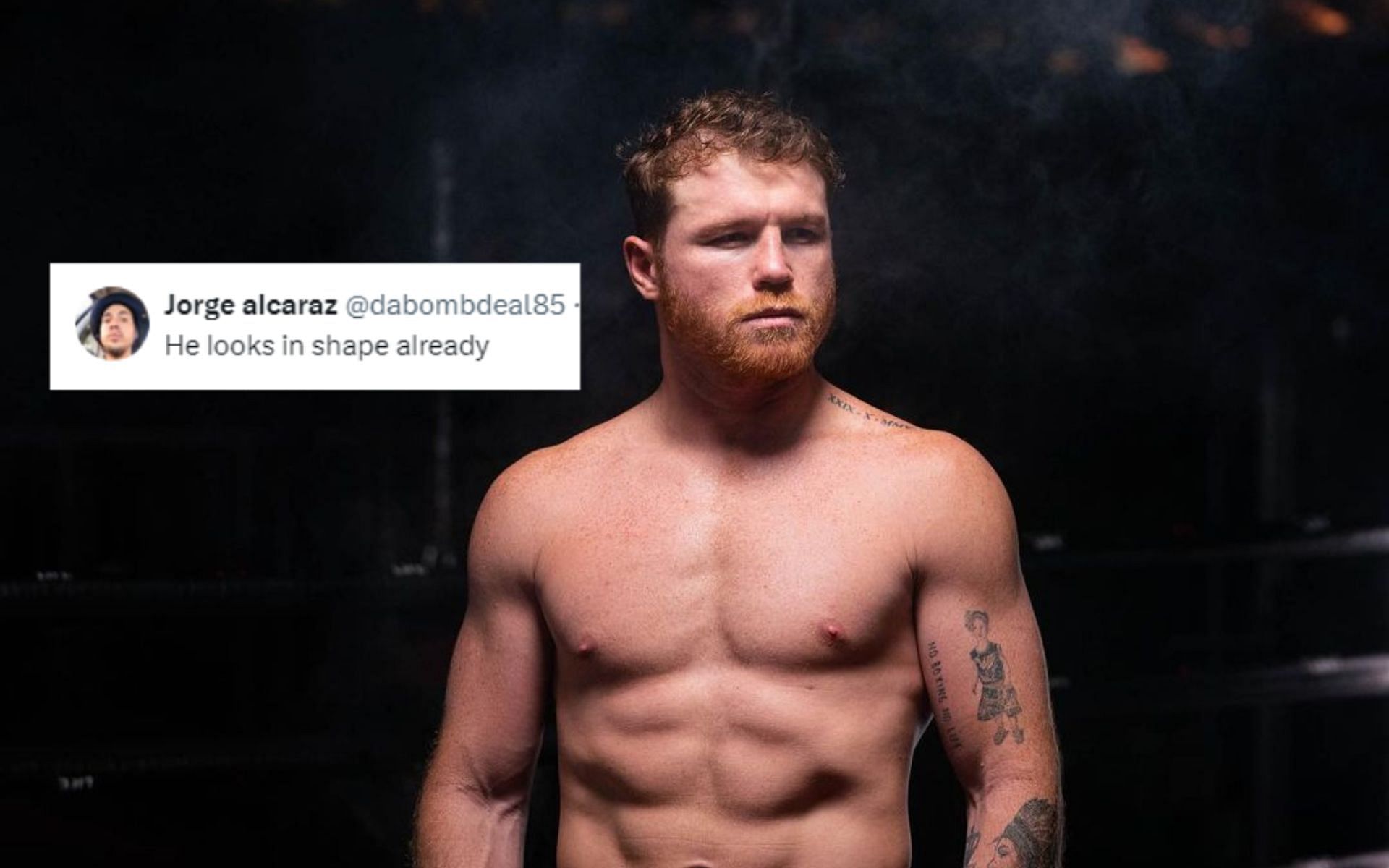 Fans react to Canelo Alvarez training with a heavy bag [Images via @canelo on Instagram and @MichaelBenson on X/Twitter]