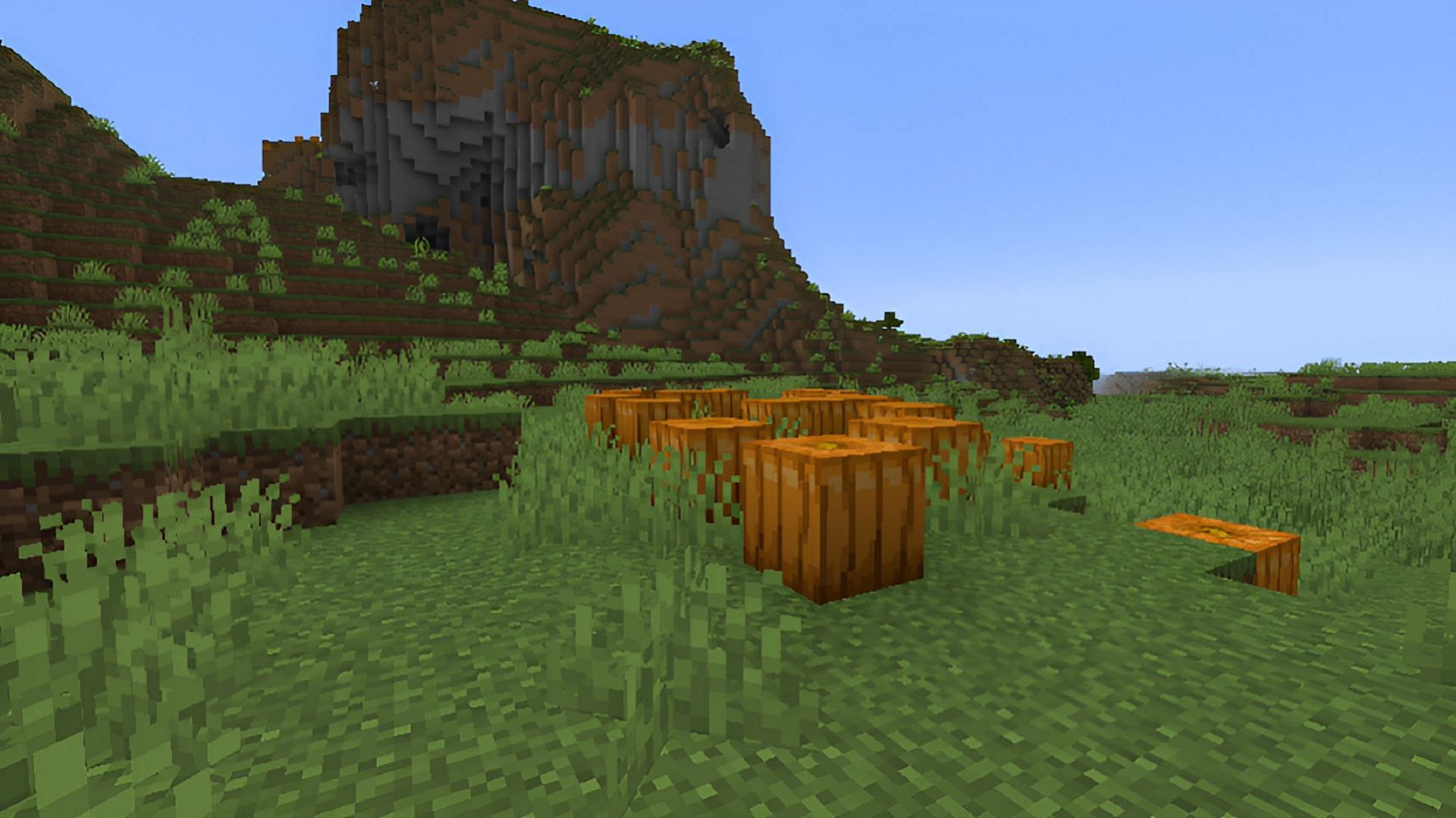 Pumpkins in Minecraft are pretty versatile, all things considered (Image via Mojang)