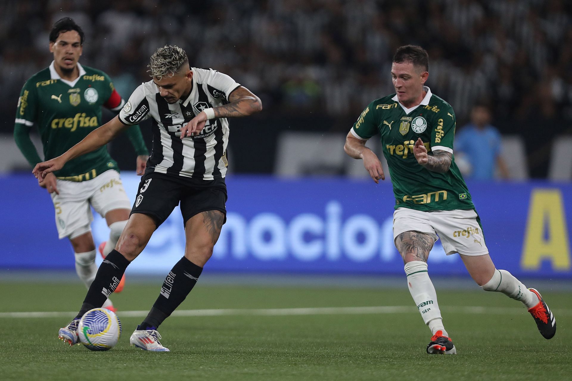 Botafogo v Palmeiras - Brasileirao 2024