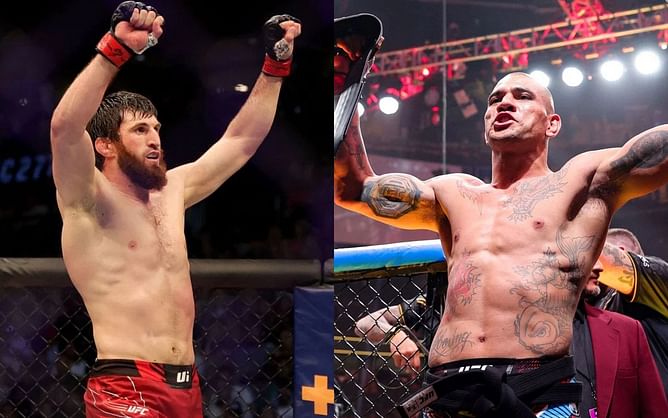 UFC veteran advises Alex Pereira against fighting Magomed Ankalaev next: "Not worth the risk"
