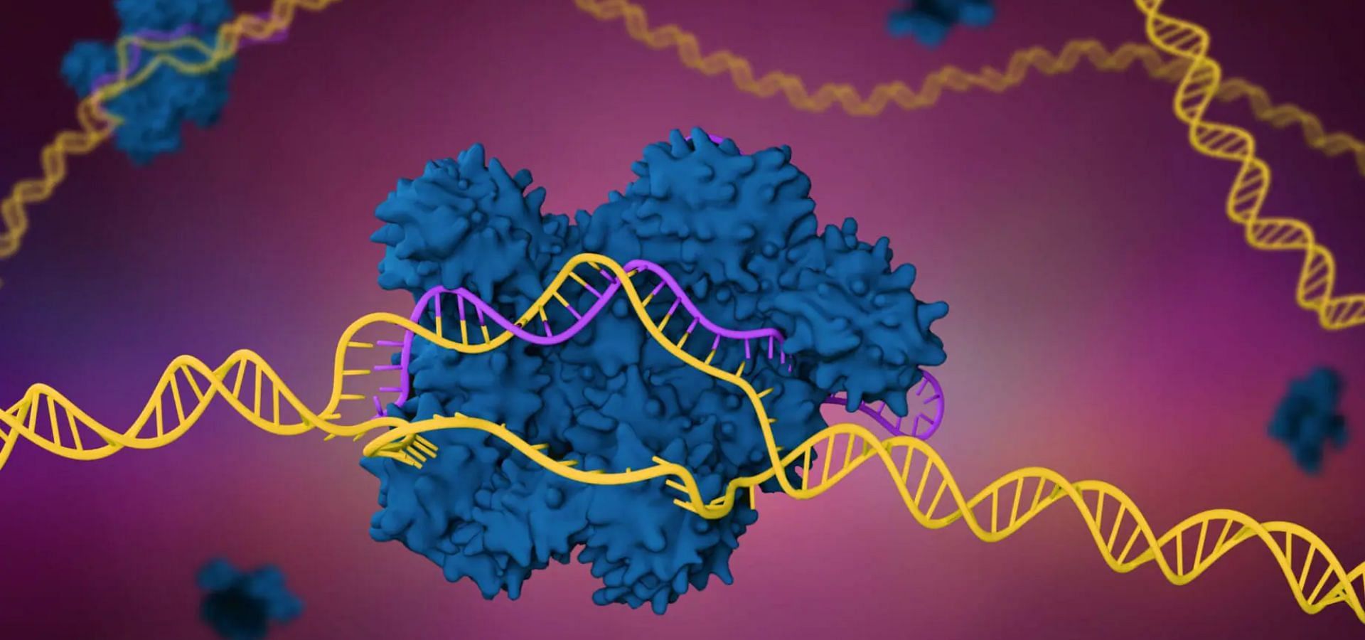 CRISPR-Cas9 (Image via Yourgeneme)