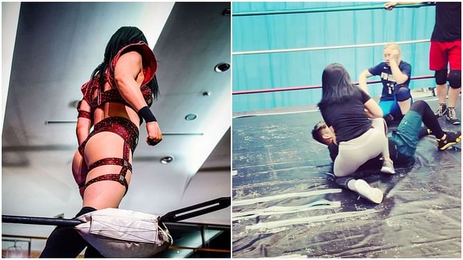 Huge update on recent WWE signing - Reports