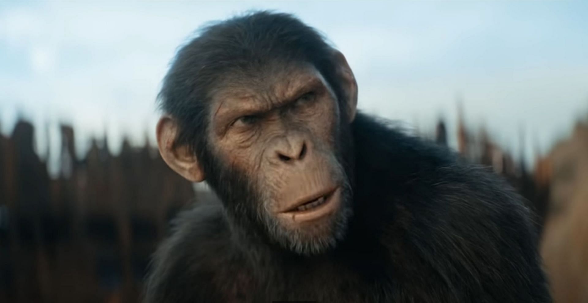 Is Noa part of Caesar&rsquo;s family in Kingdom of the Planet of the Apes? Explained