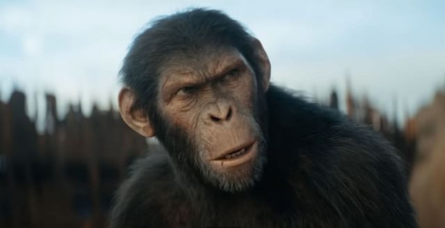 Is Noa part of Caesar’s family in Kingdom of the Planet of the Apes ...