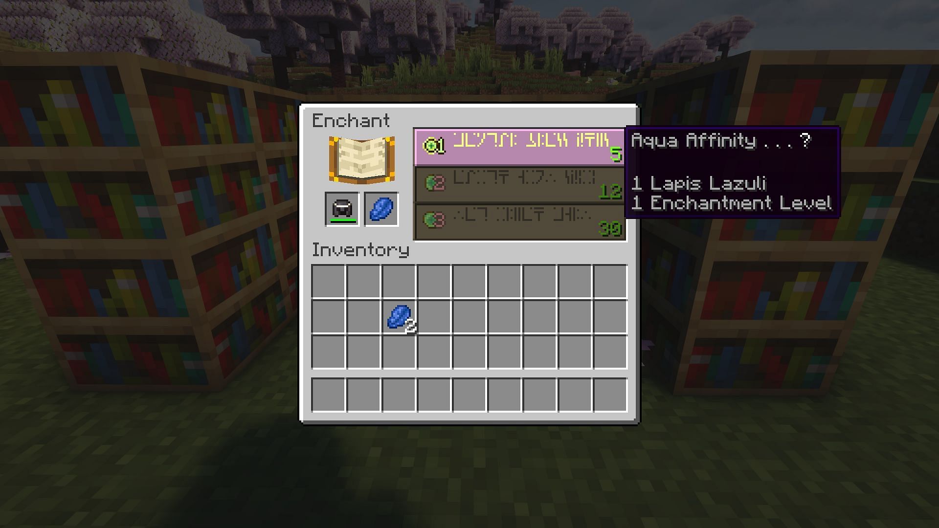 An enchanting table offering Aqua Affinity (Image via Mojang)