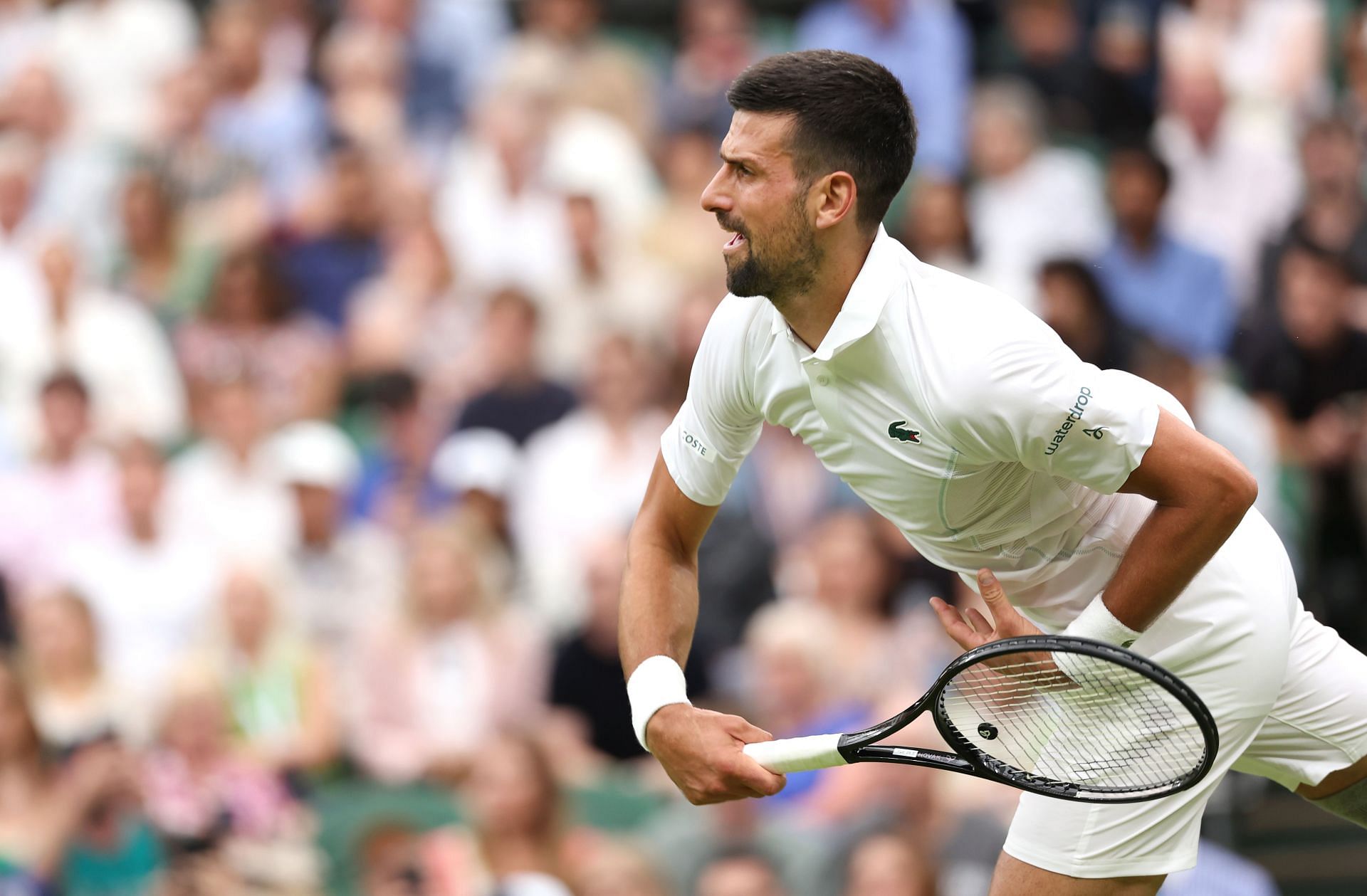 Novak Djokovic at the 2024 Wimbledon Championships