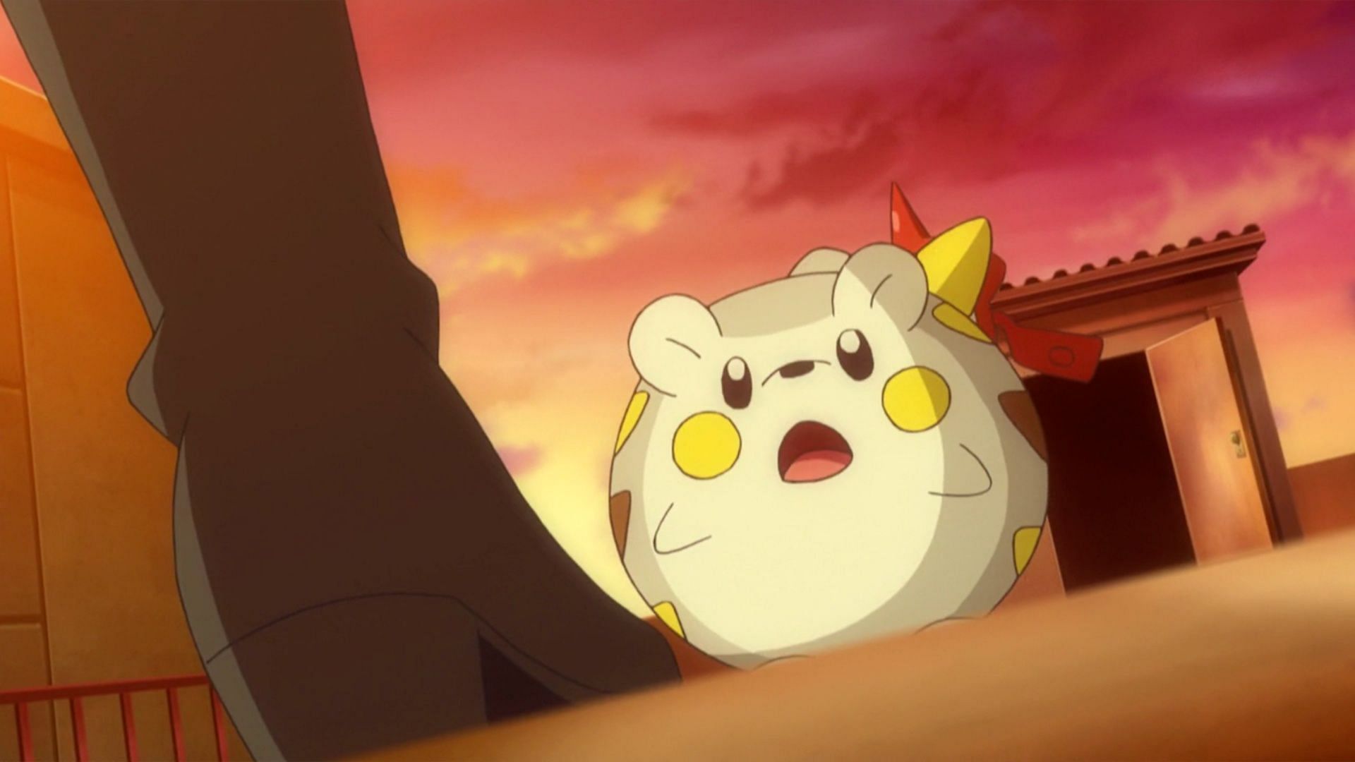 Togedemaru in the Pokemon anime (Image via TPC)