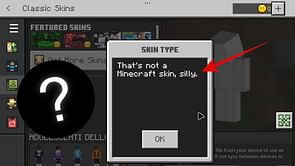 What is "That's not a Minecraft skin, silly" error