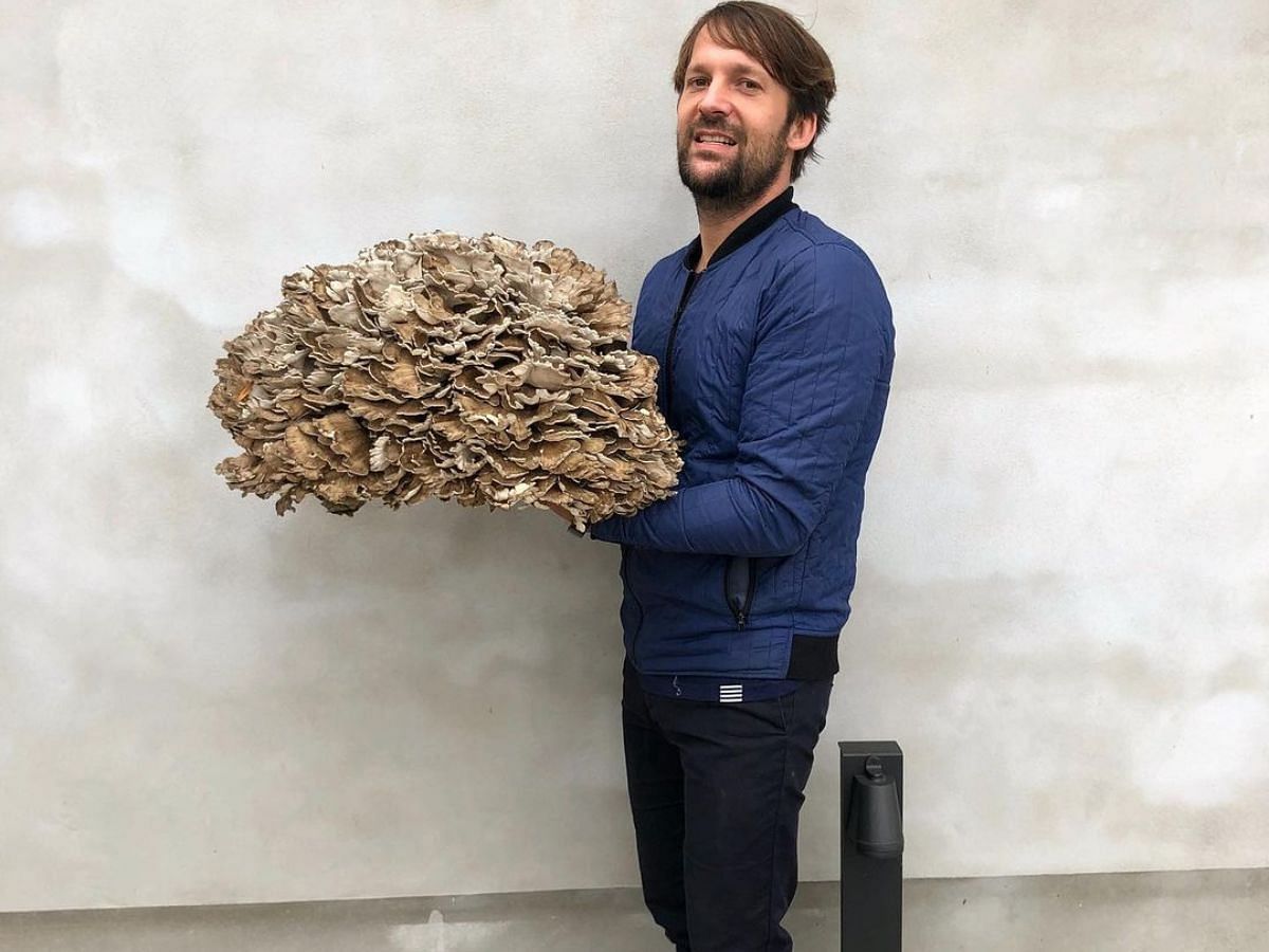 Ren&eacute; Redzepi in The Bear season 3 (Image via Instagram/@reneredzepinoma)