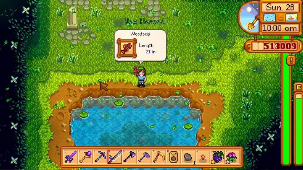 How To Catch A Woodskip In Stardew Valley How to get Woodskip in Stardew Valley