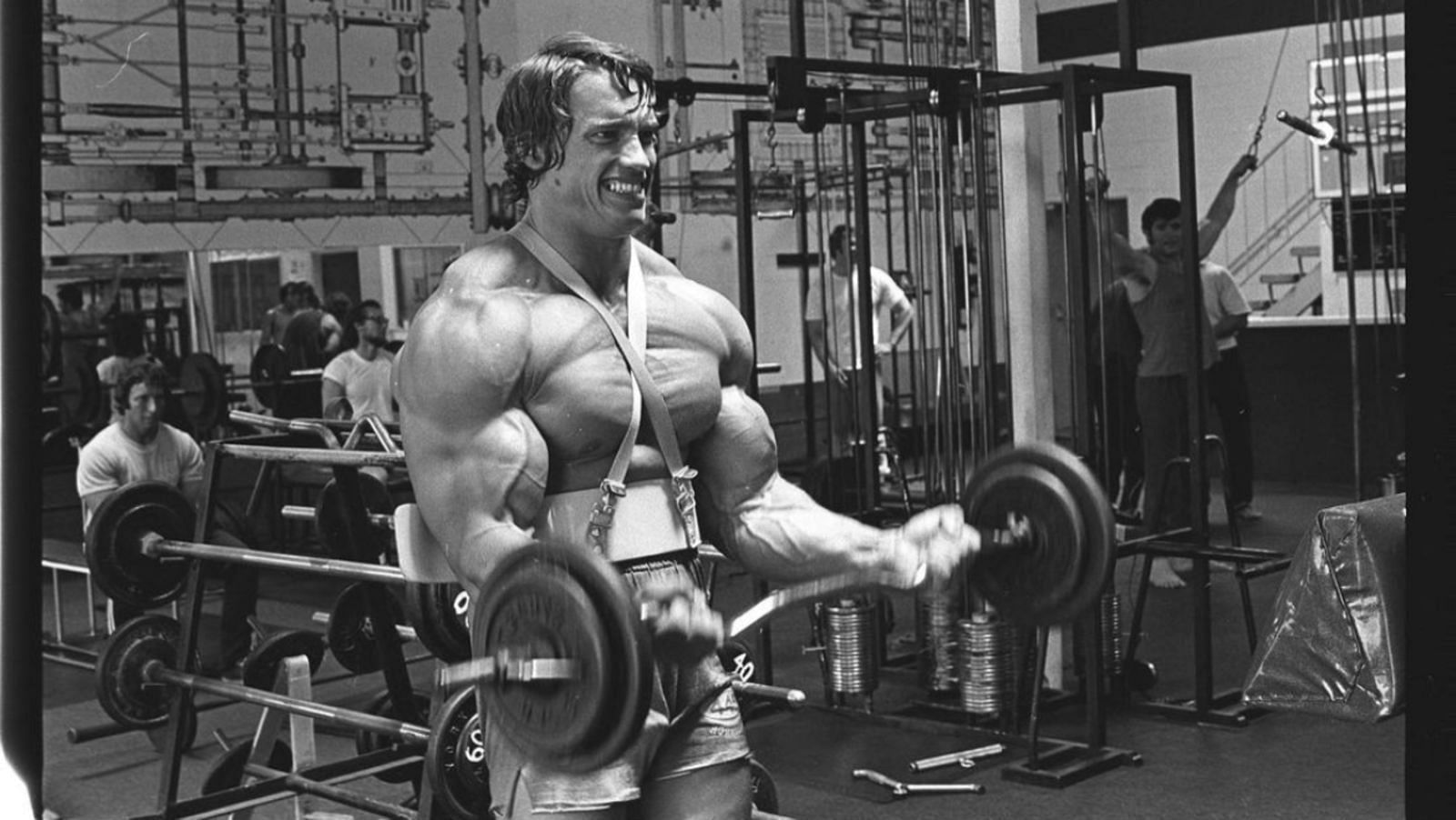 Arnold Schwarzenegger