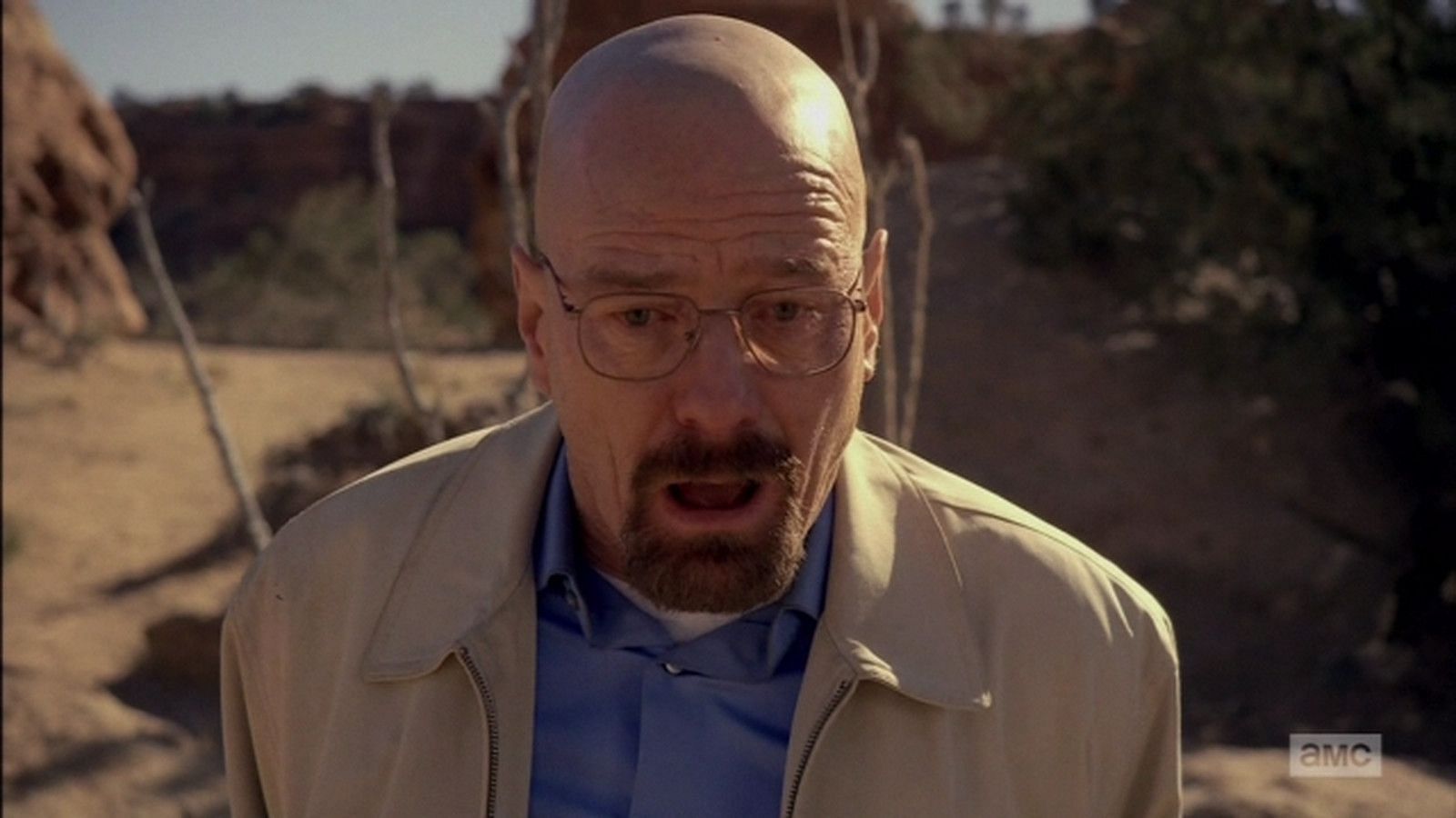 Bryan Cranston was not the first choice to play Walter White (image via AMC)