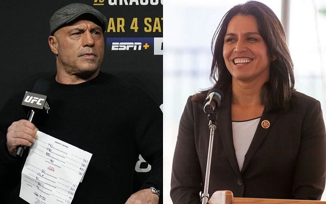 When Joe Rogan and Tulsi Gabbard slammed Democrats for "ideological fanaticism" over transgender inclusion in women's sports