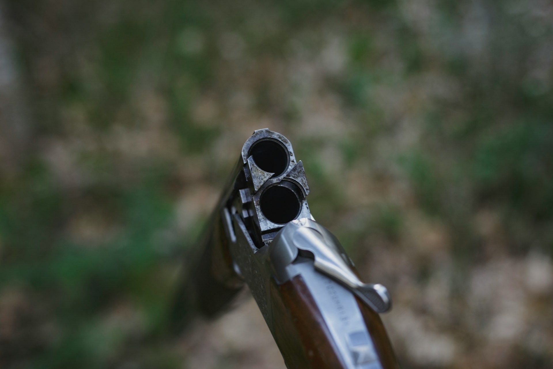 Gun (Image sourced from Unsplash)