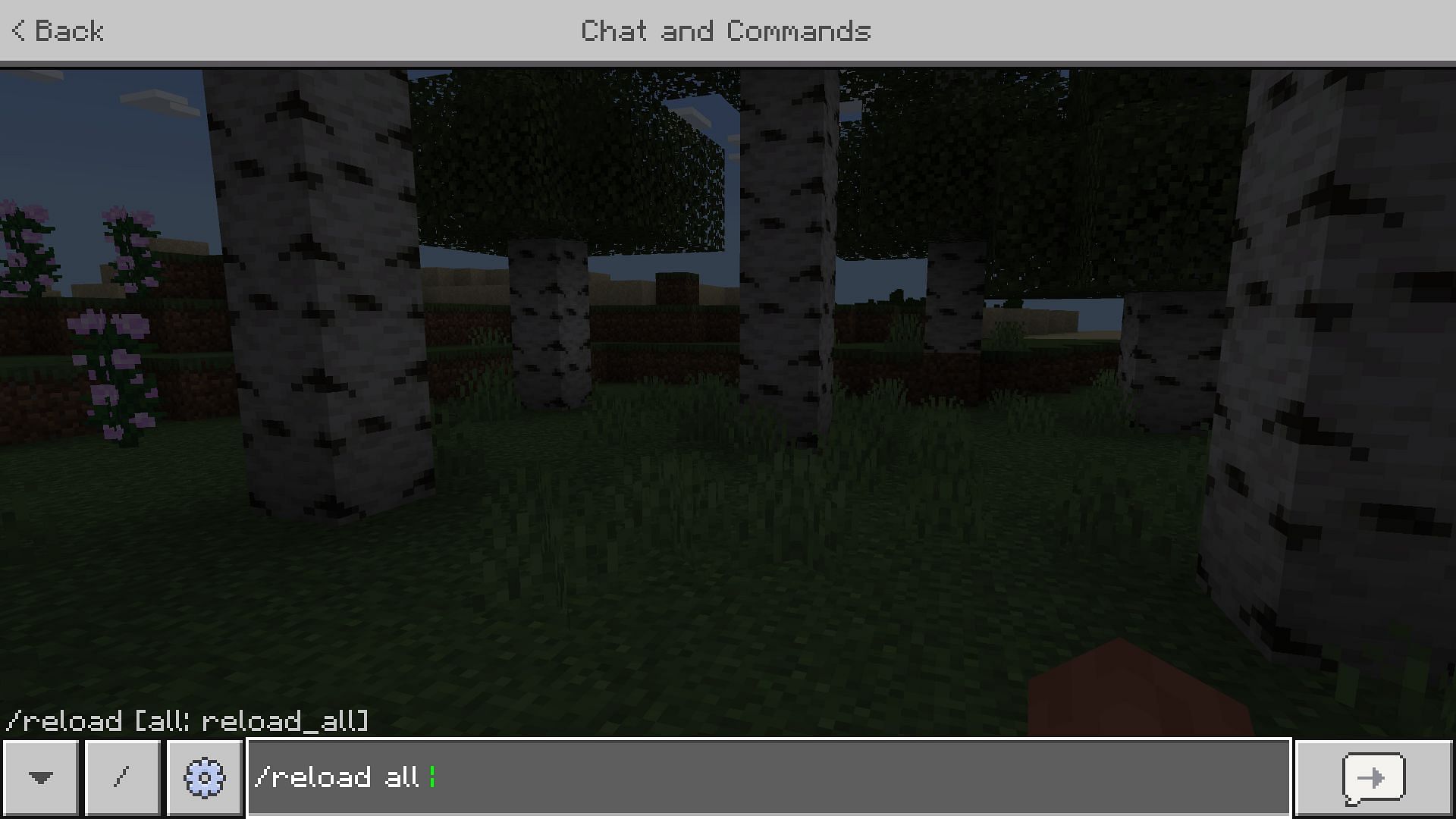 A new addition to /reload command should prove useful in difficult situations. (Image via Mojang)