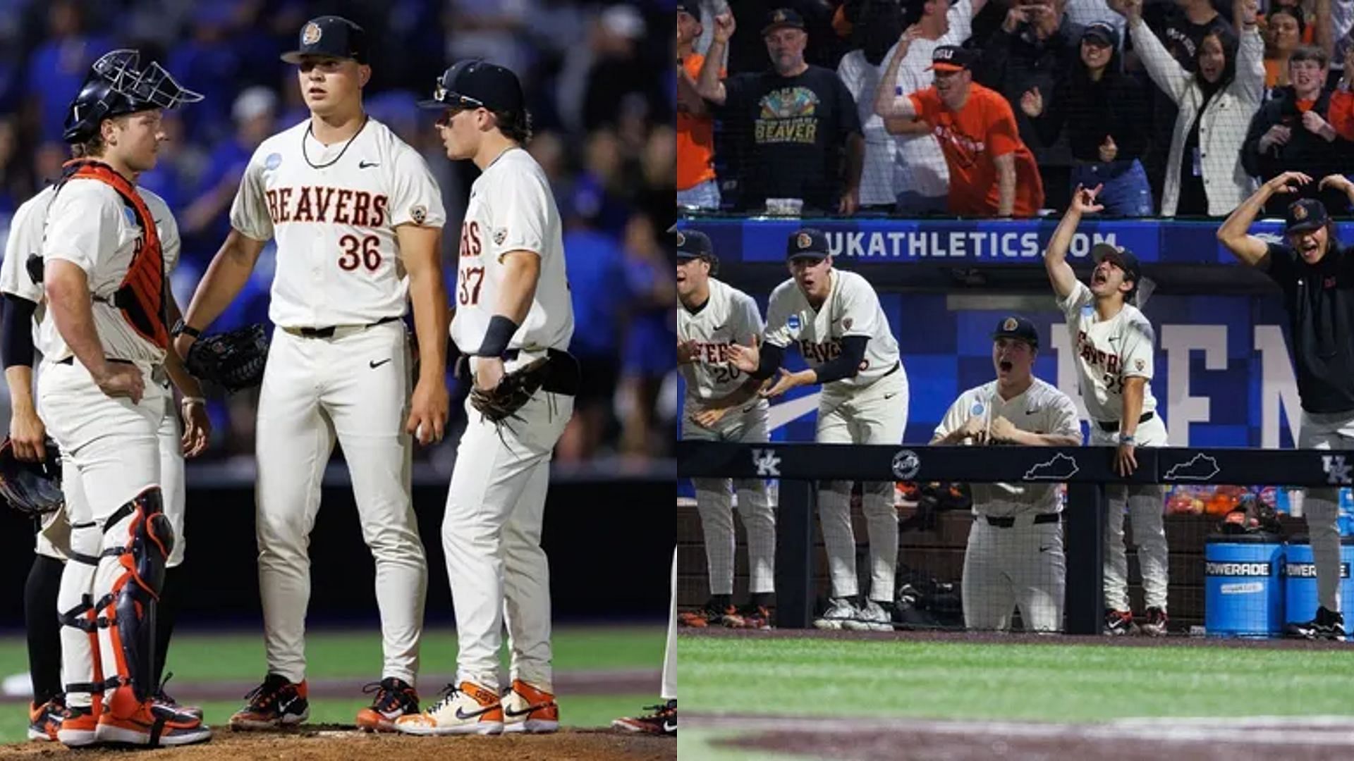 A look into the Oregon State Beavers ahead of the 2025 NCAA Baseball season.