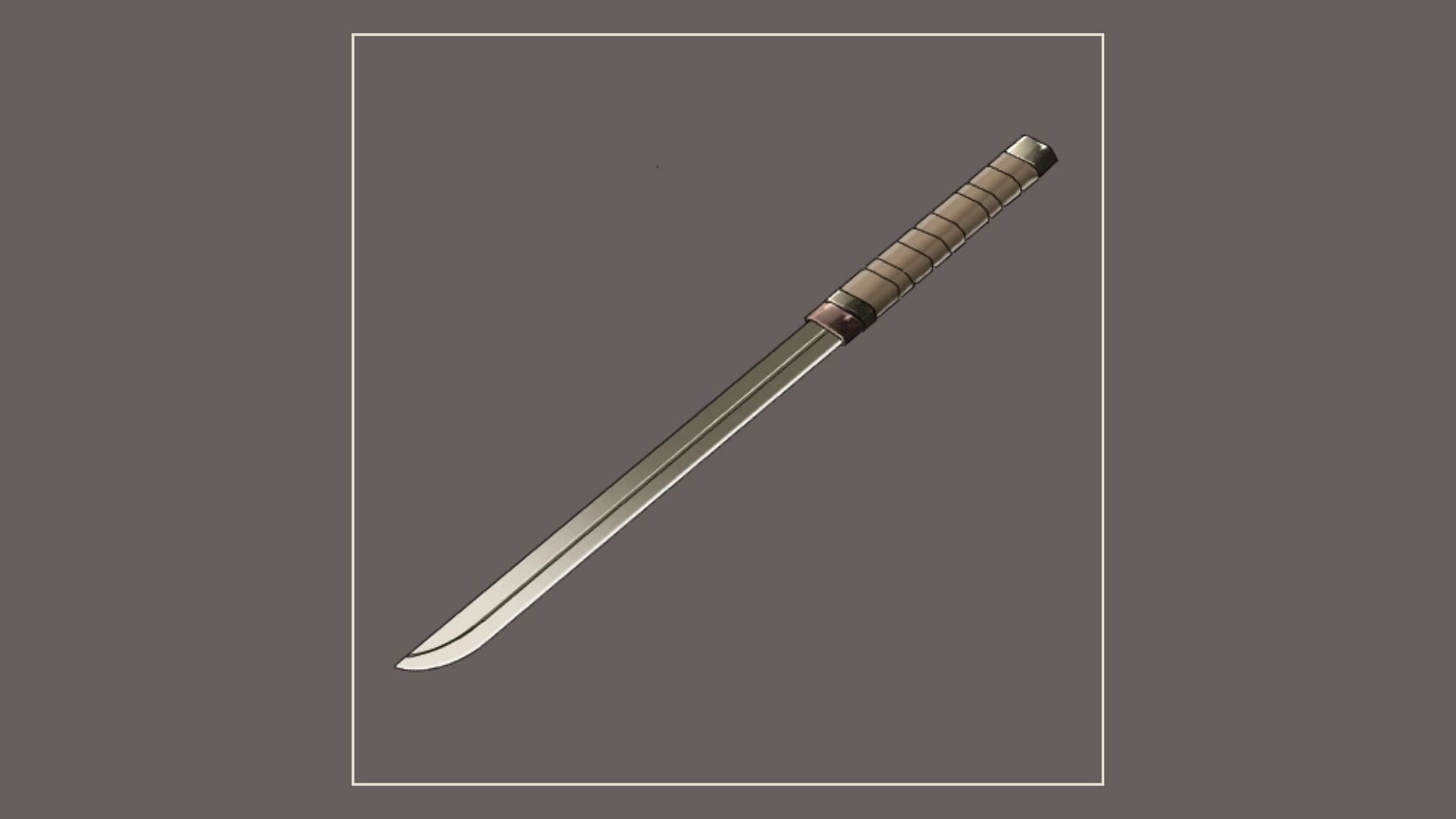 The Teleporter&#039;s Sword has cool abilities (Image via The Time of Ninja Wiki)