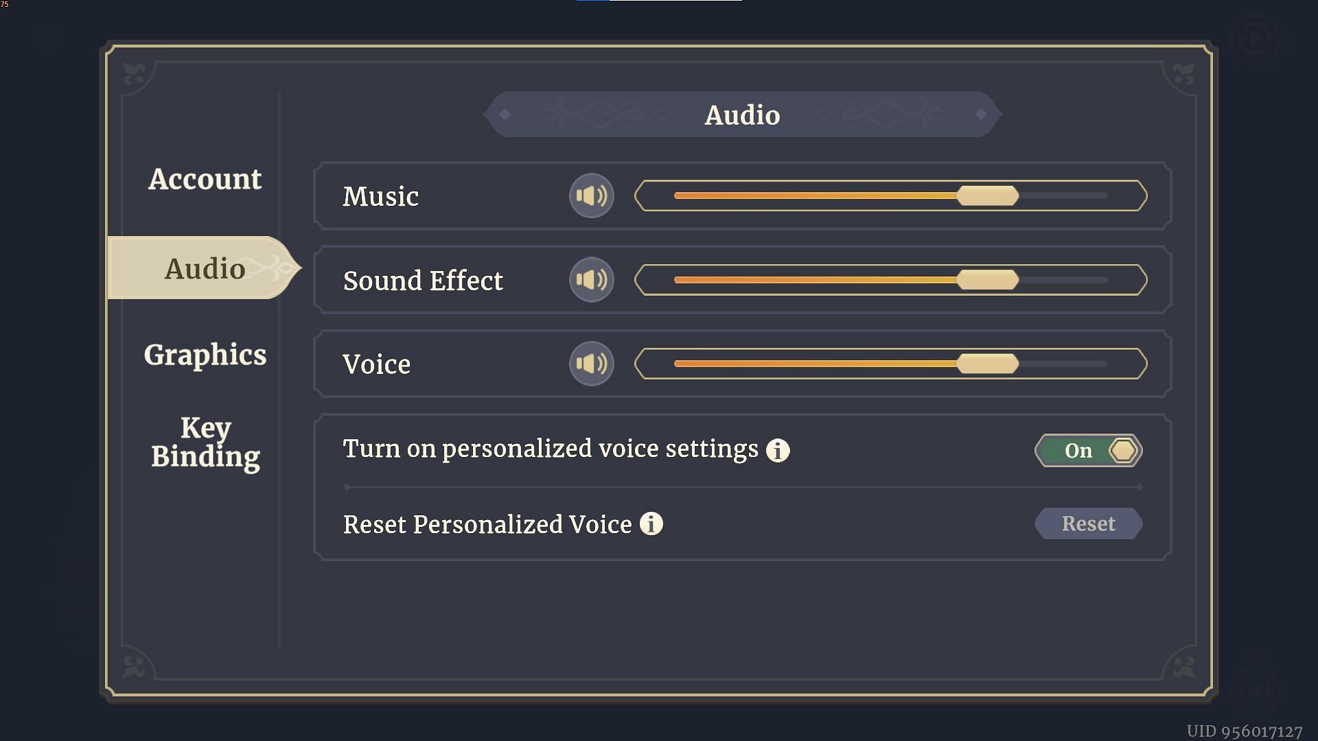 Sword of Convallaria Audio settings (Image via XD Entertainment)