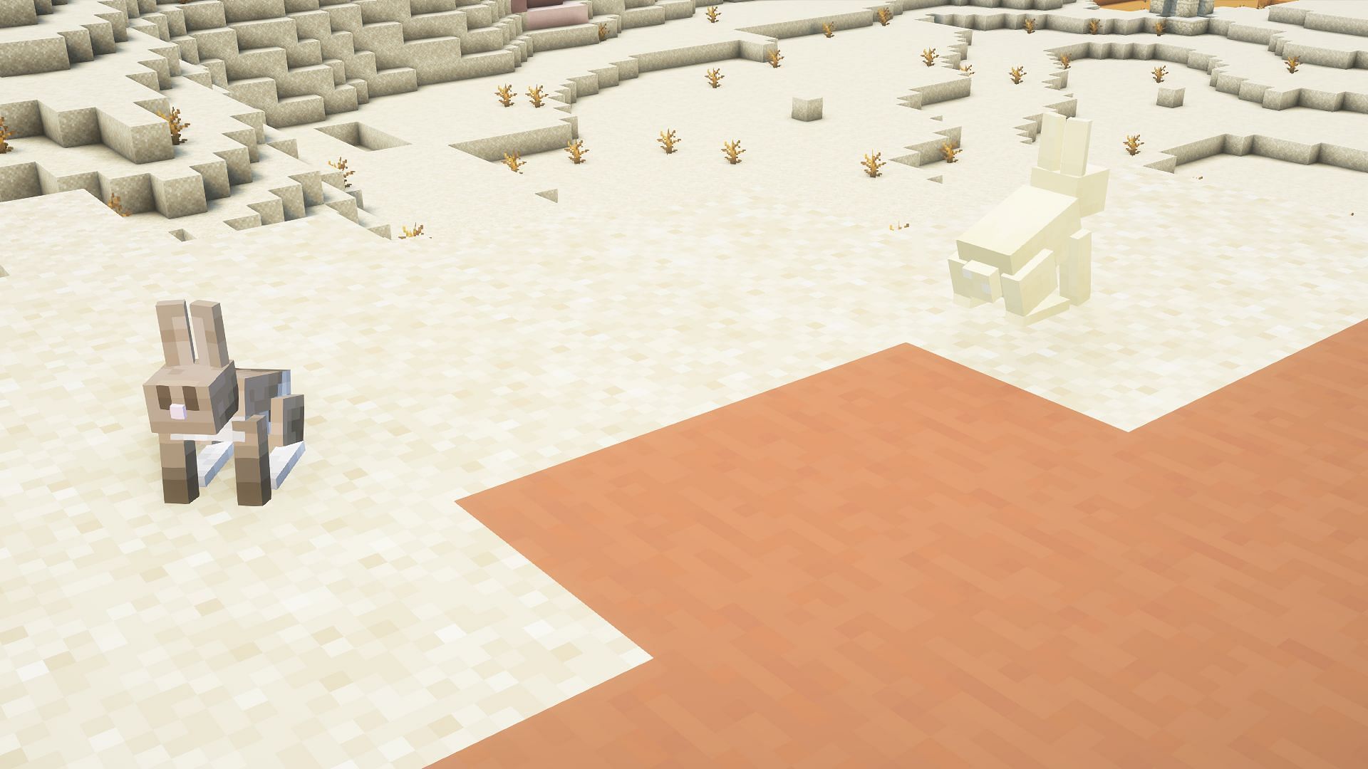 Rabbits will never trust players unless they hold carrots, golden carrots, or dandelions (Image via Mojang)