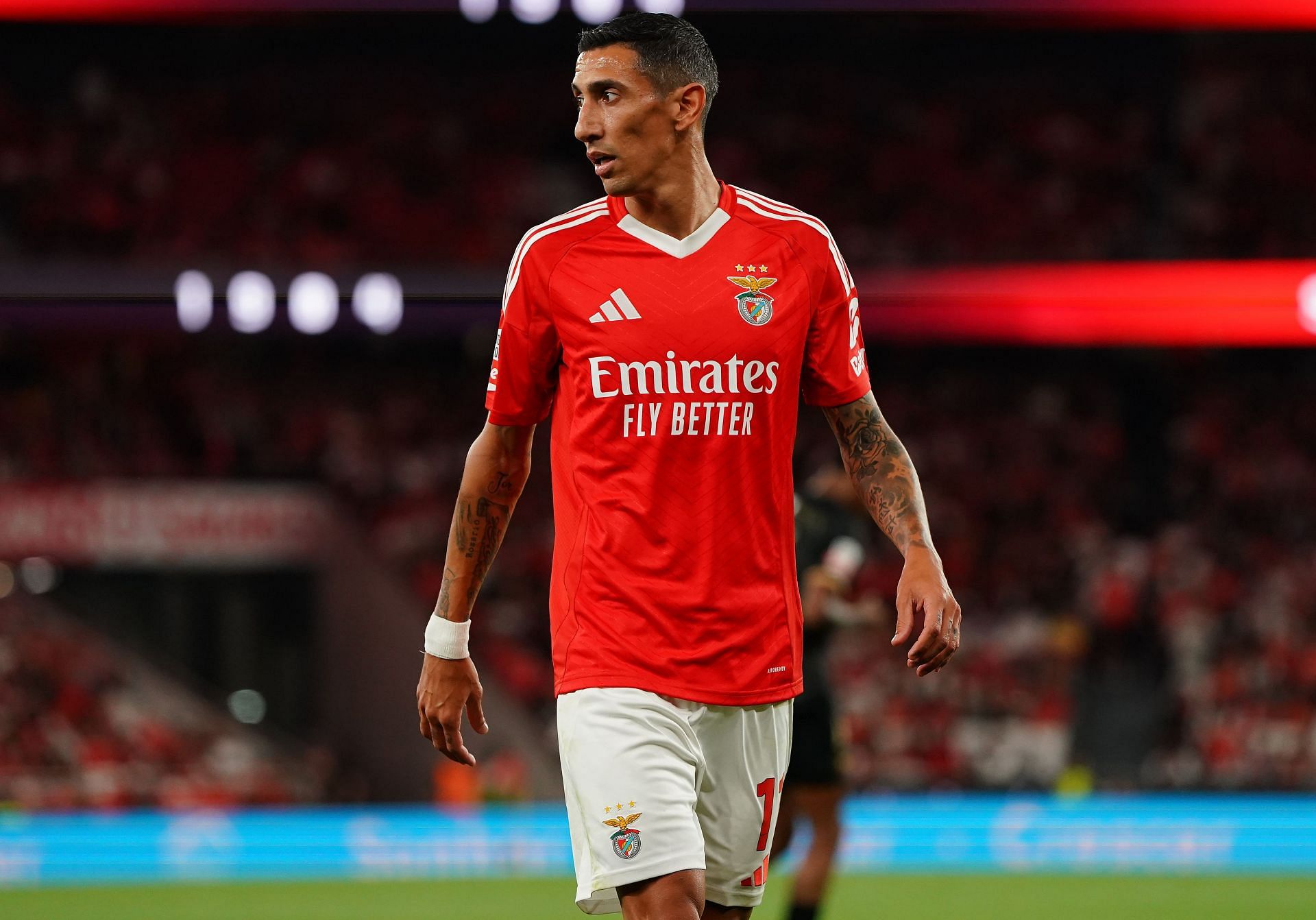 SL Benfica v CF Estrela da Amadora - Liga Portugal Betclic - Source: Getty