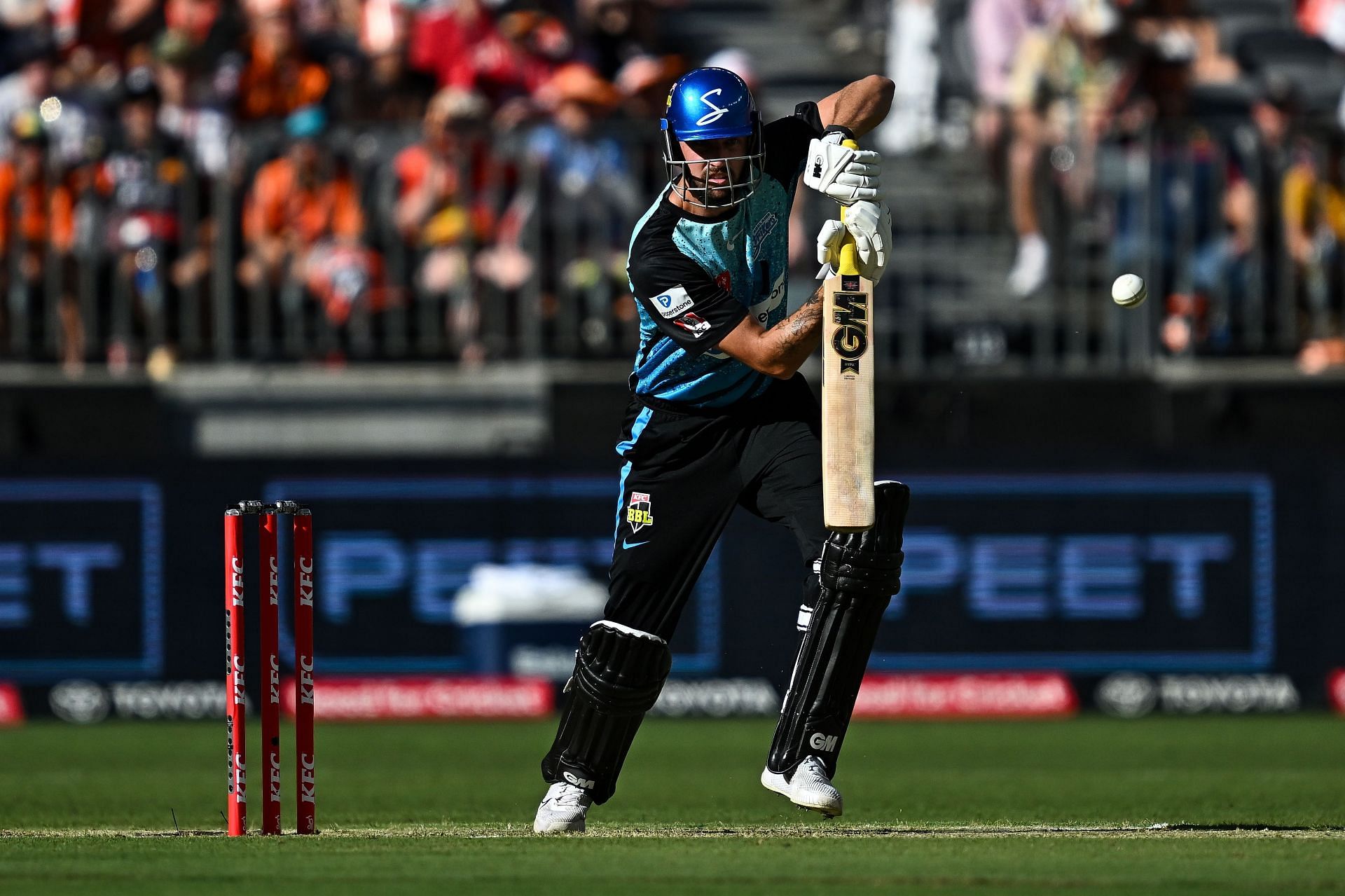 BBL - The Knockout: Perth Scorchers v Adelaide Strikers