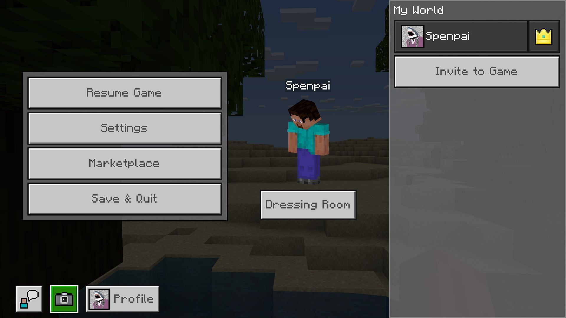 Minecraft Bedrock Preview has introduced a dedicated screenshot button. (Image via Mojang)